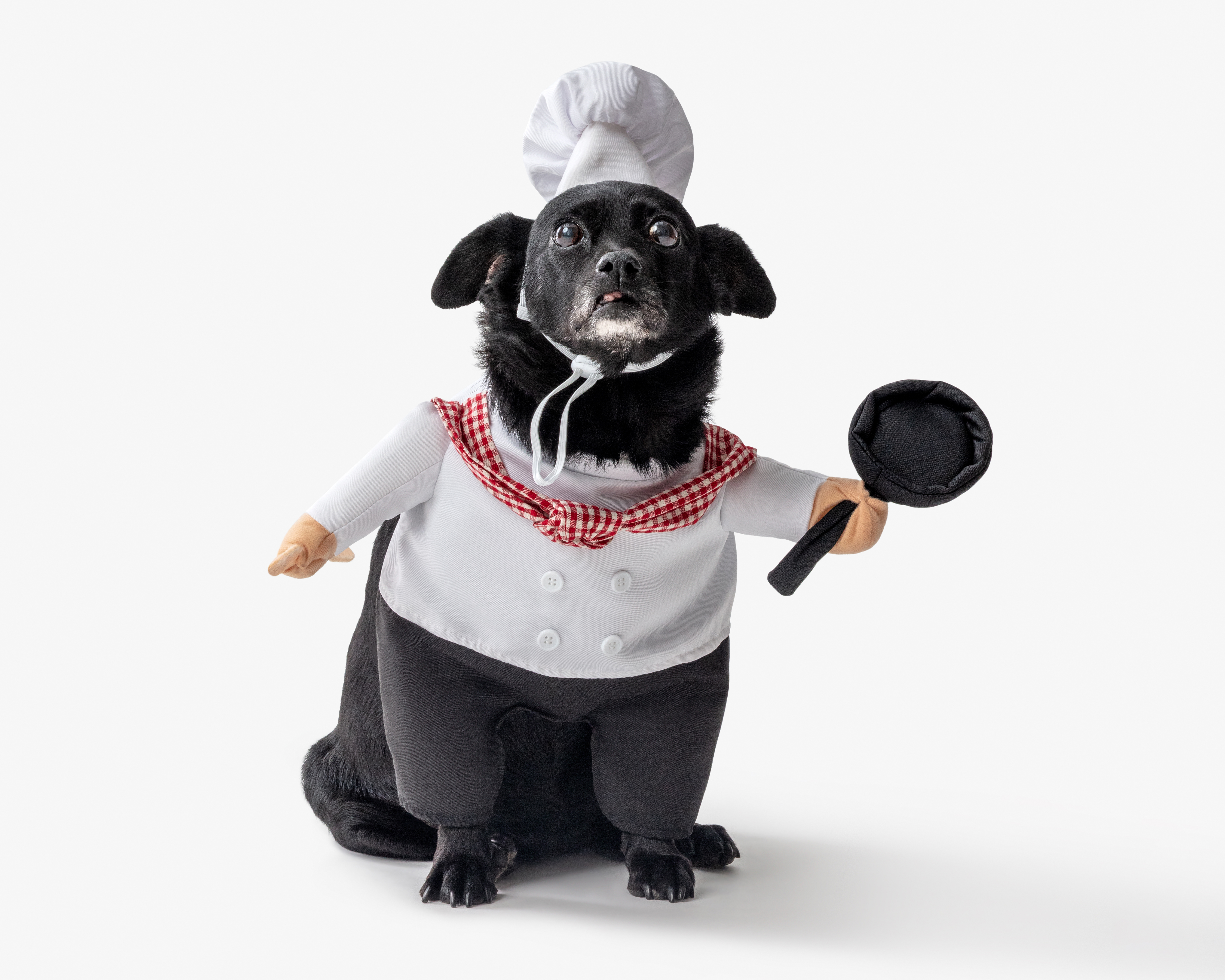 Disfraz de Chef Huppy para Perro