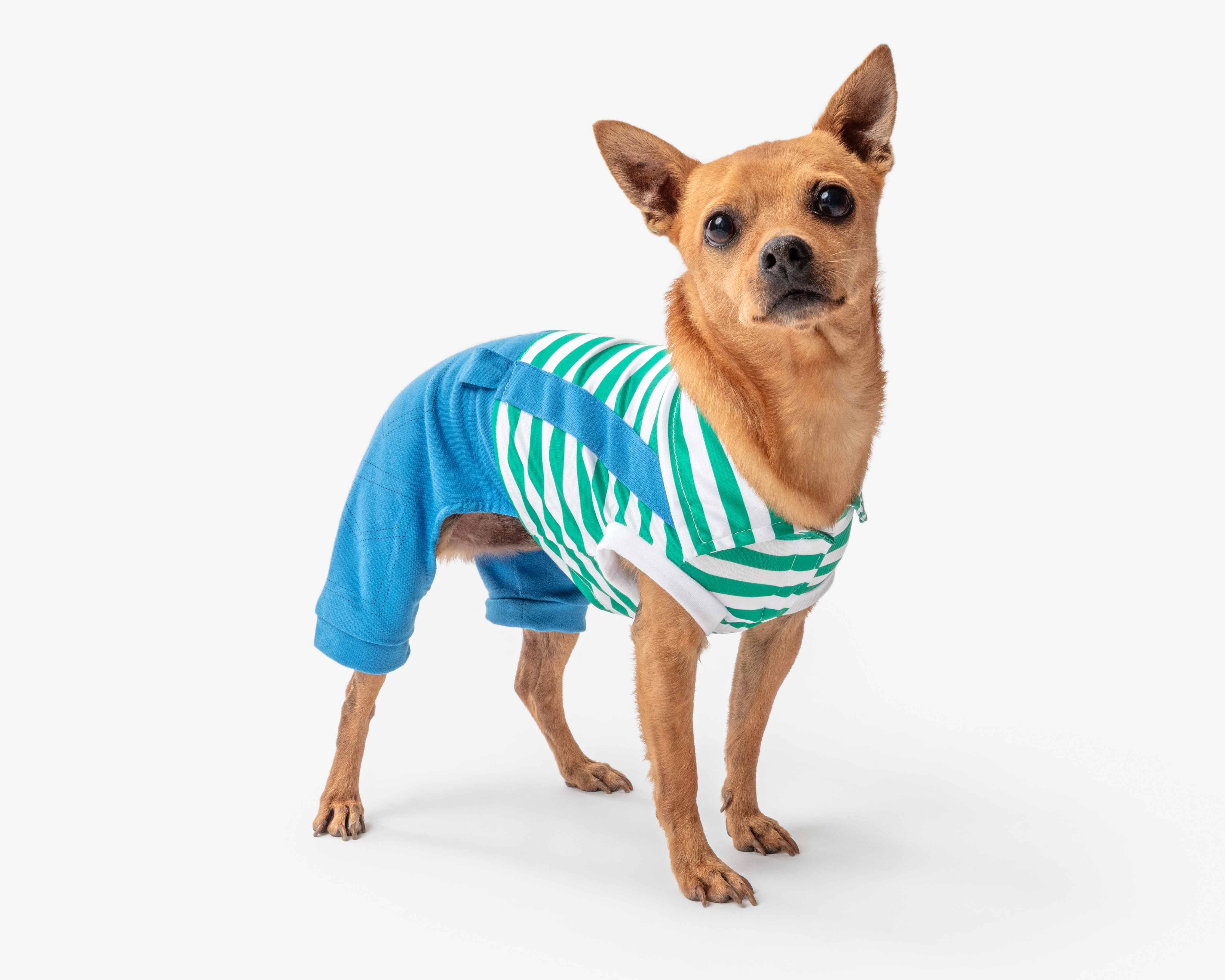 Overol Huppy para Perro