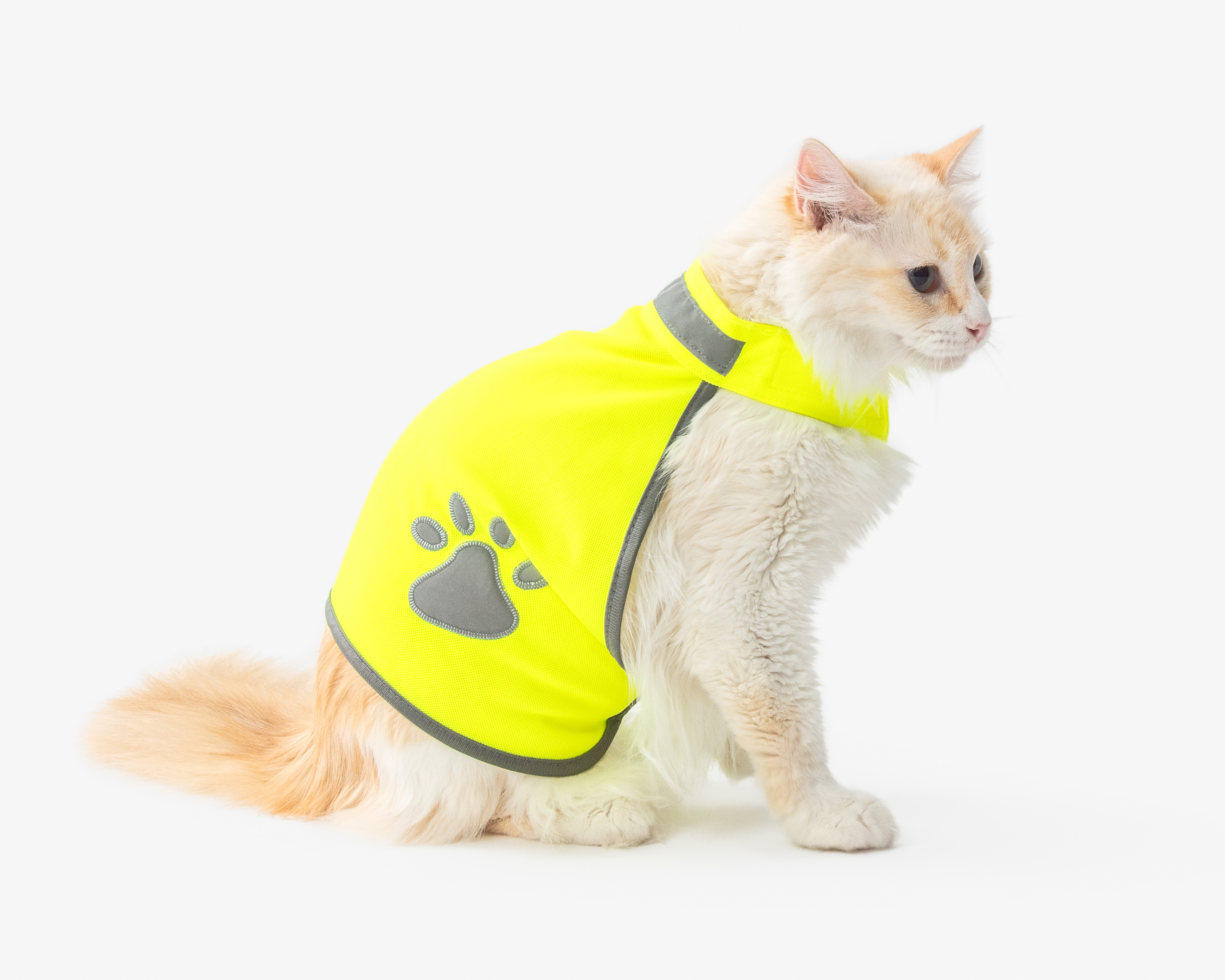 Chaleco Huppy para Perro