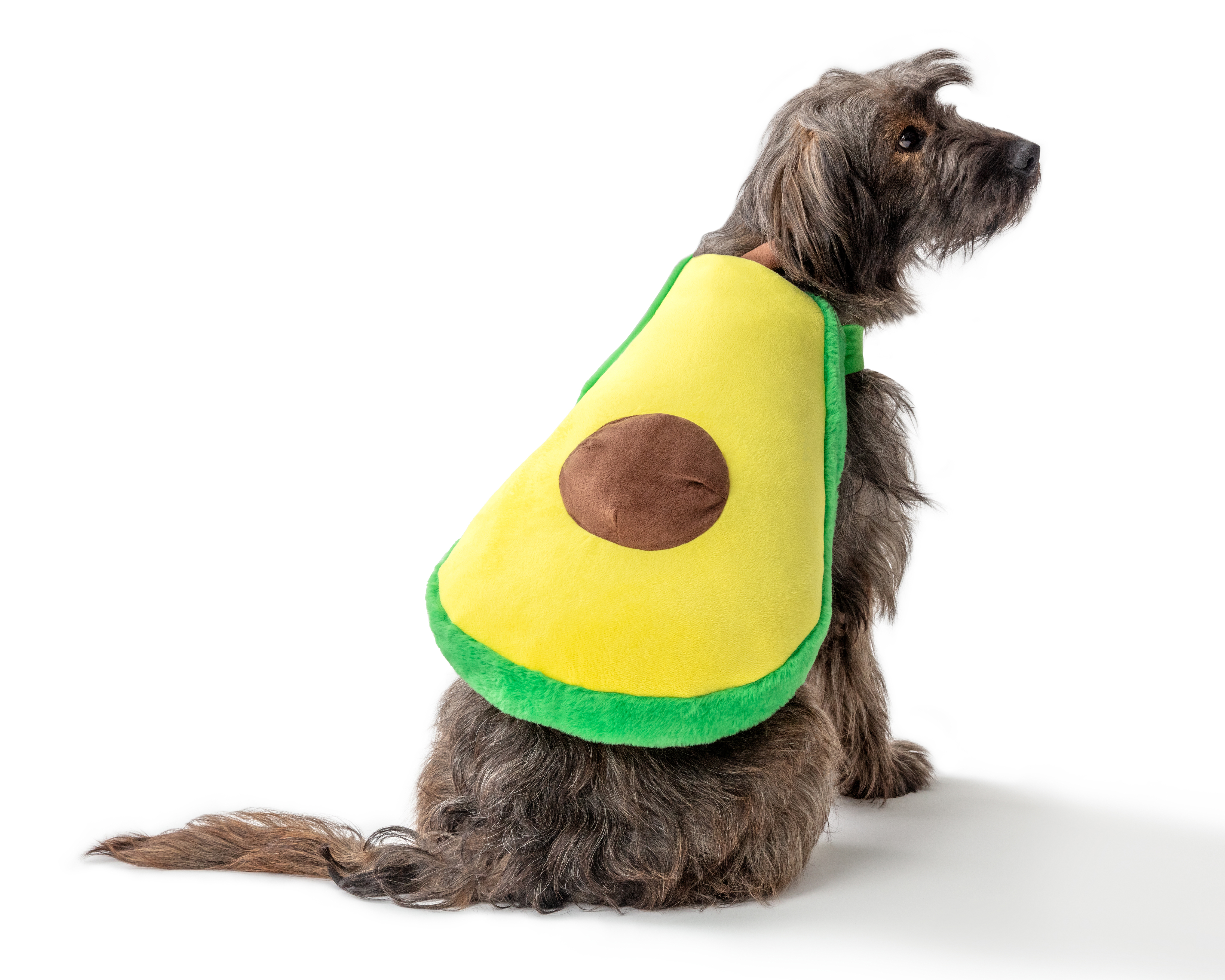 Disfraz para Perro Huppy