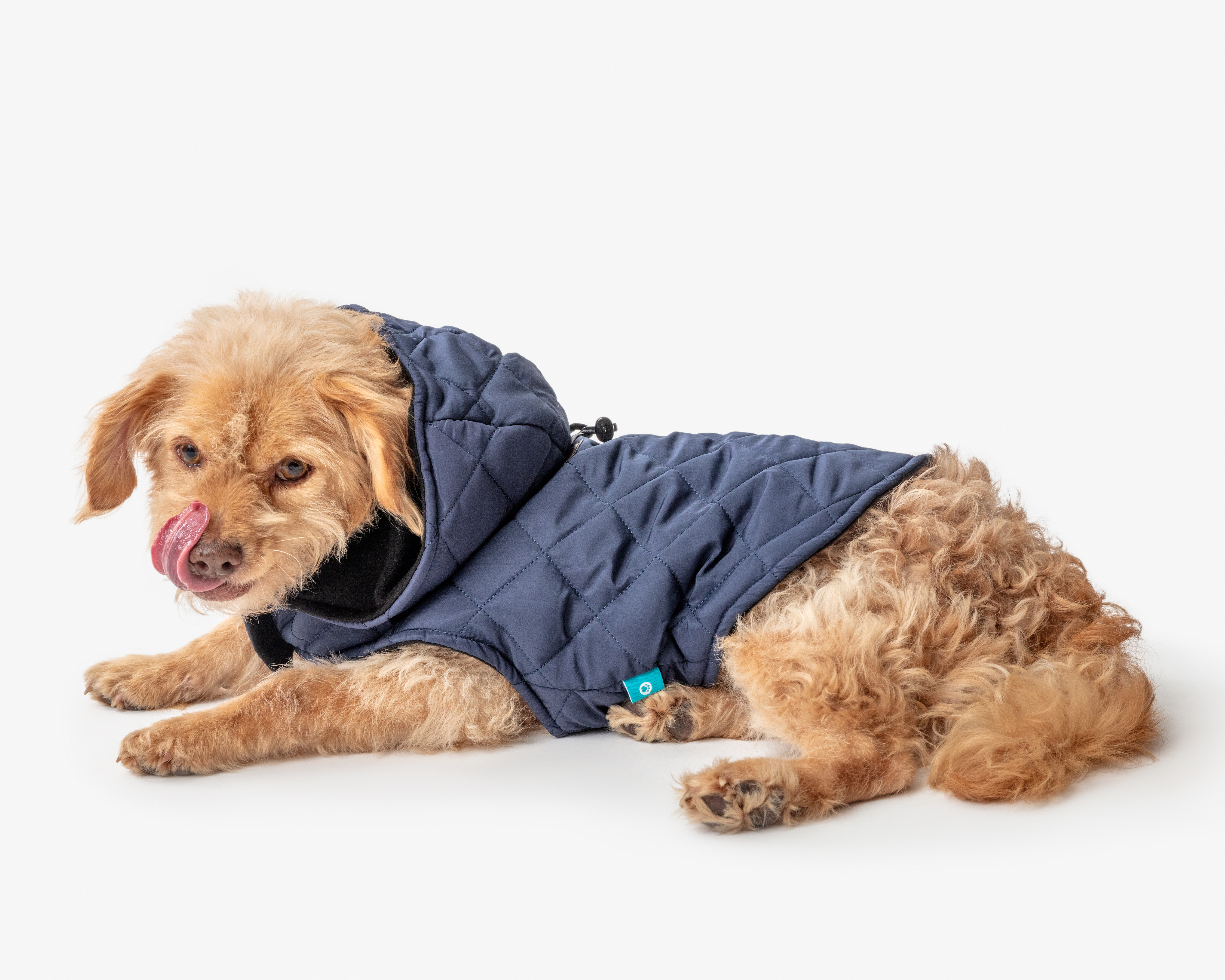 Chaleco para Perro Huppy