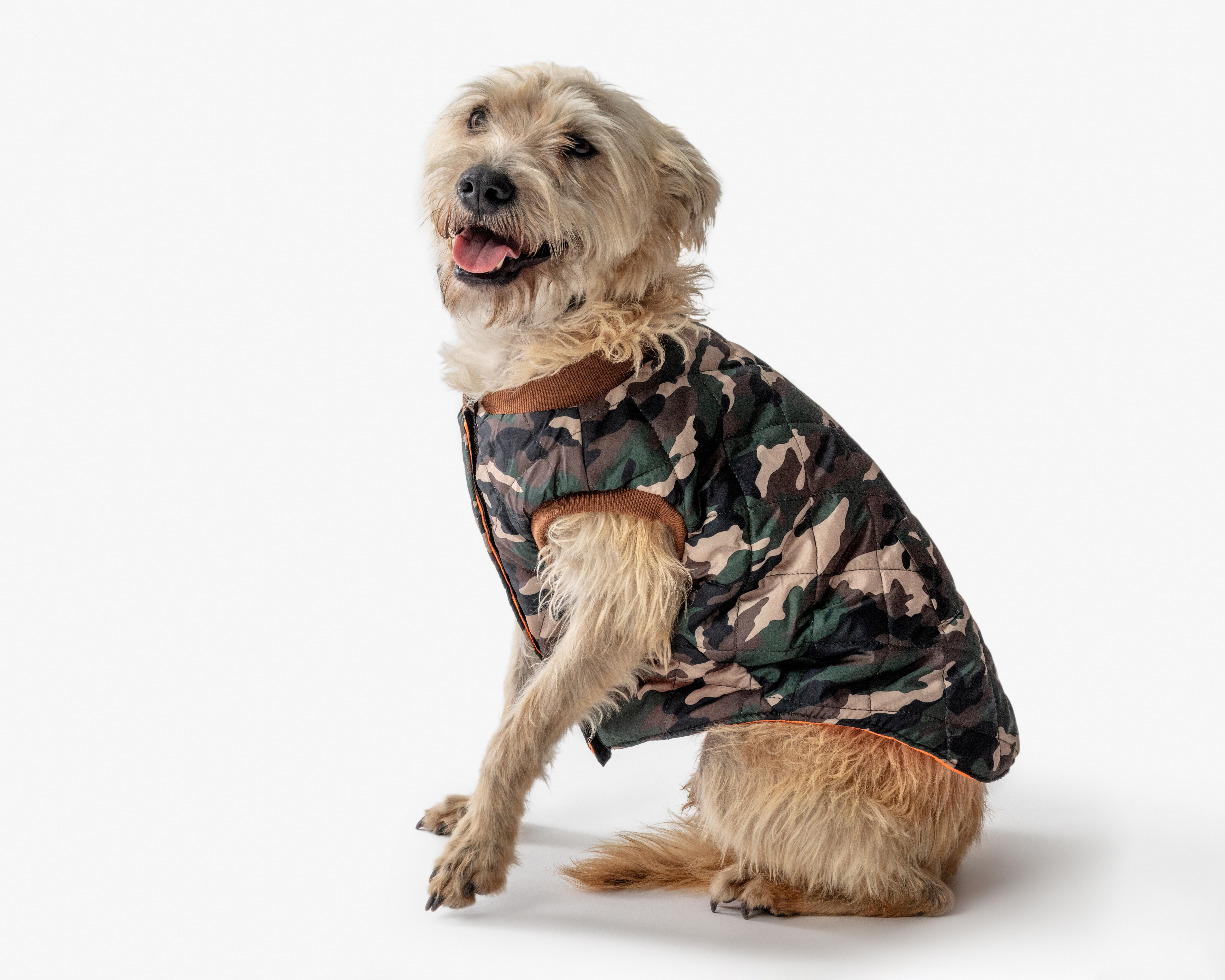 Chaleco para Mascota Huppy