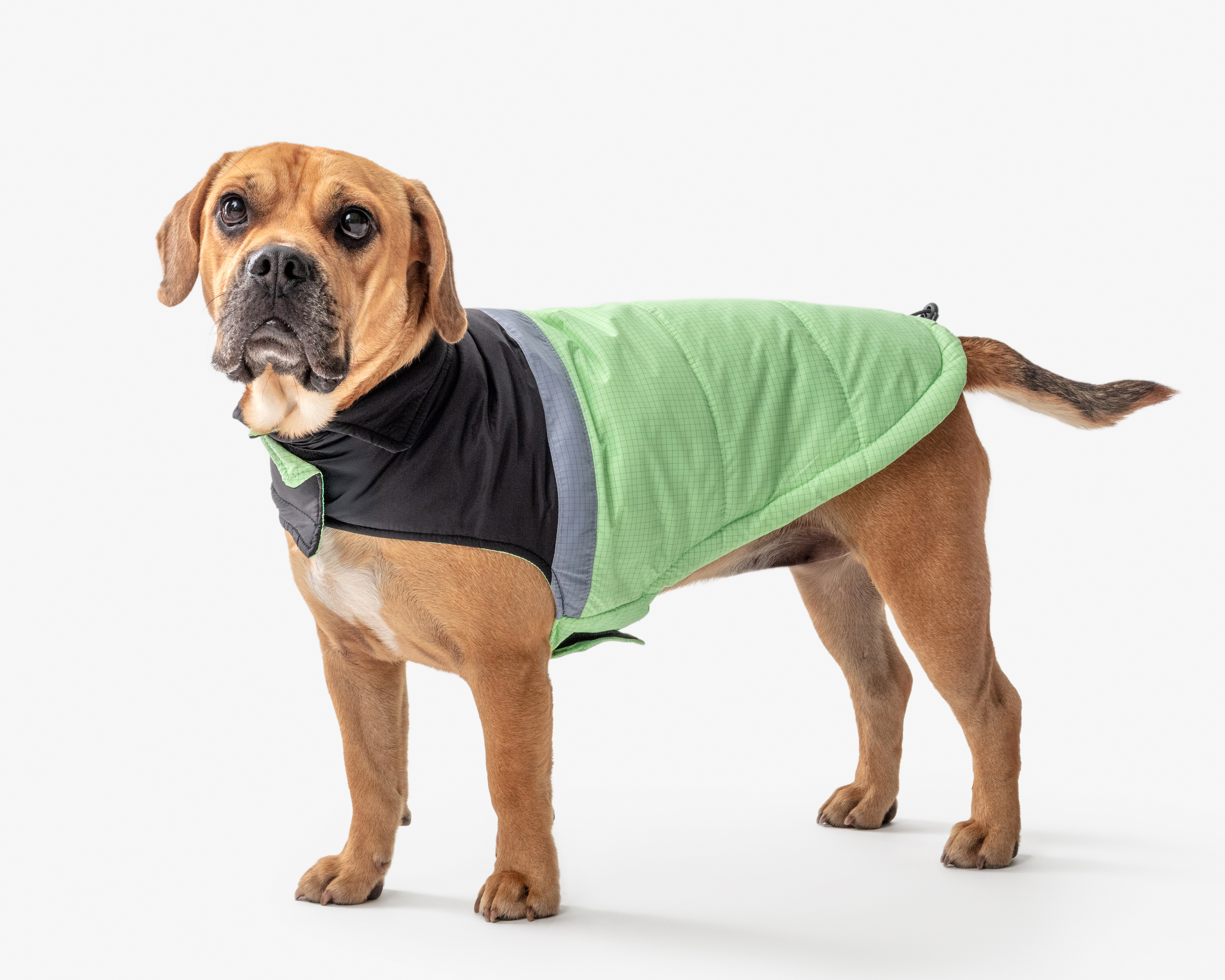 Chaleco para Perro Huppy