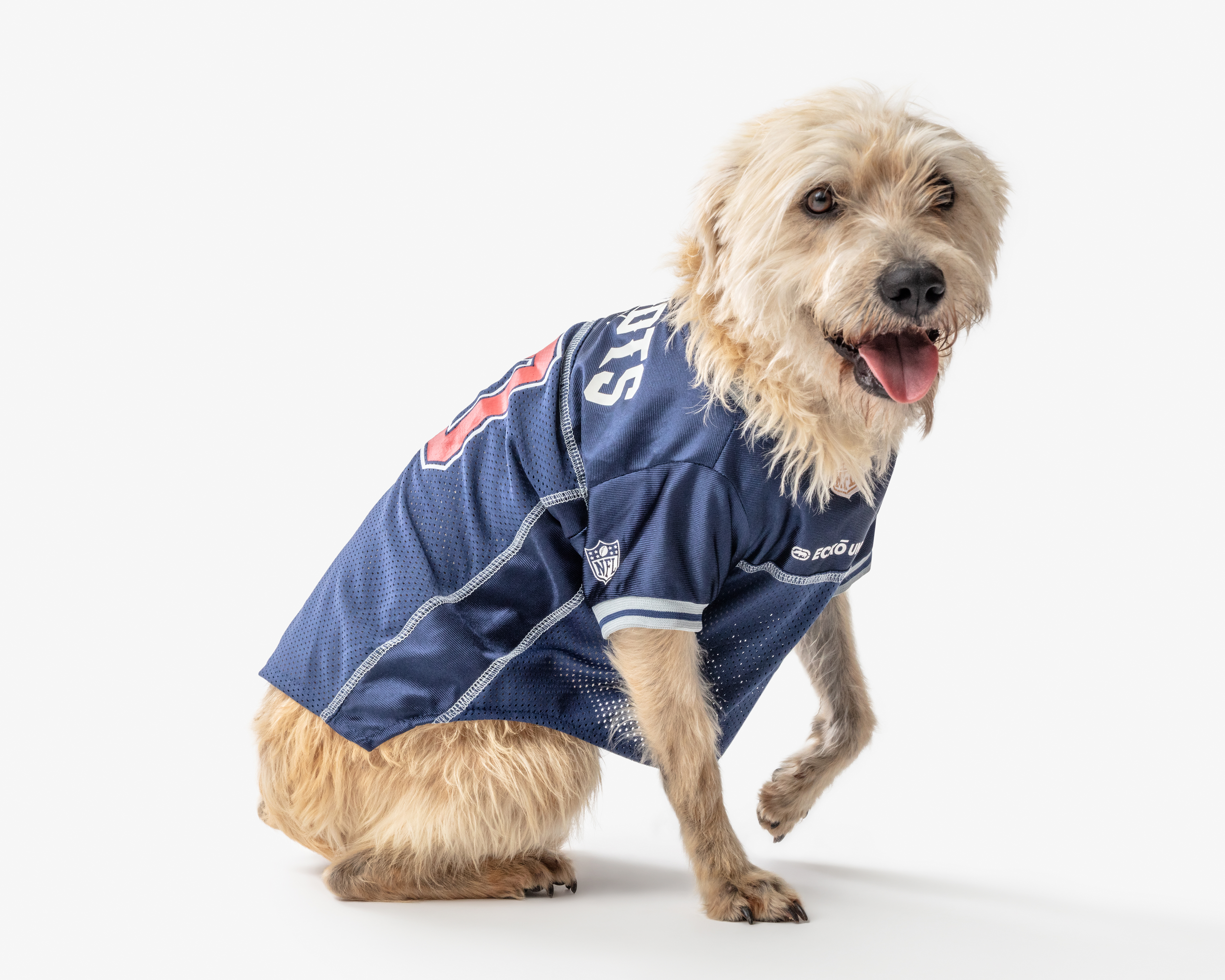 Disfraz para Perro Eckó Unltd.