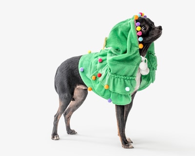 Foto 1 | Foto 1 | Disfraz Navideño para Mascota Huppy