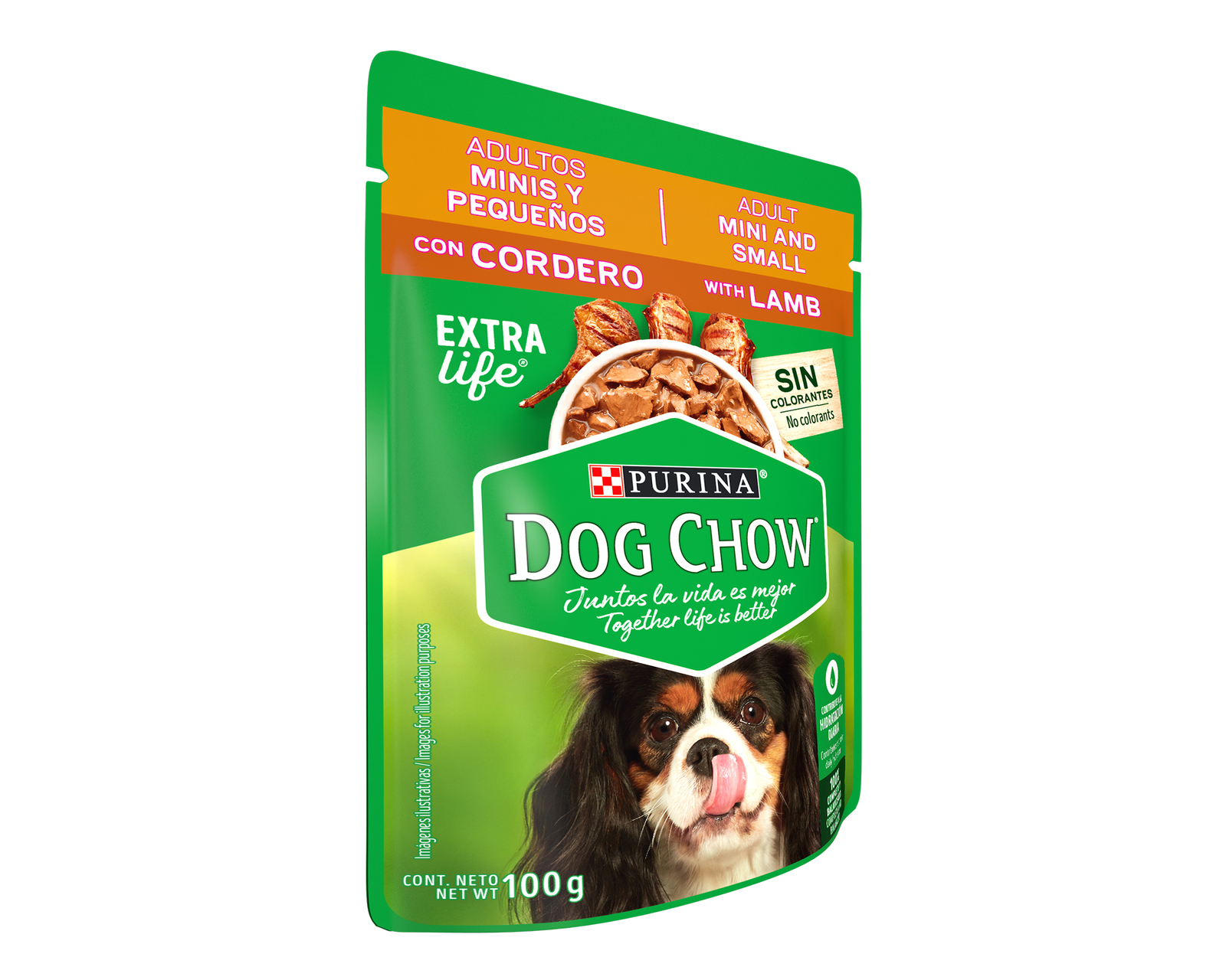 Foto 6 | Foto 6 | Alimento para Perro Purina Dog Chow Adulto Mini y Pequeño 100 g