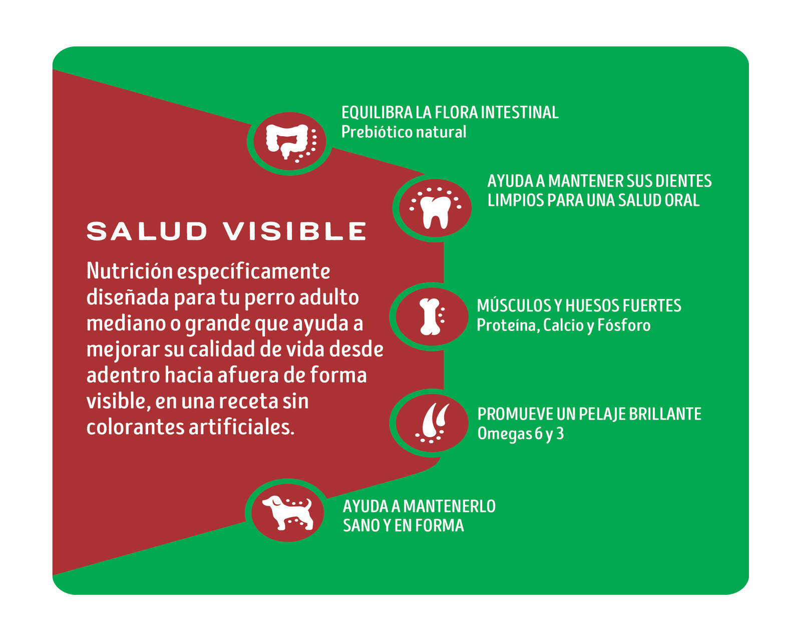 Foto 4 pulgar | Foto 3 | Alimento para Perro Purina Dog Chow Adulto 2 kg