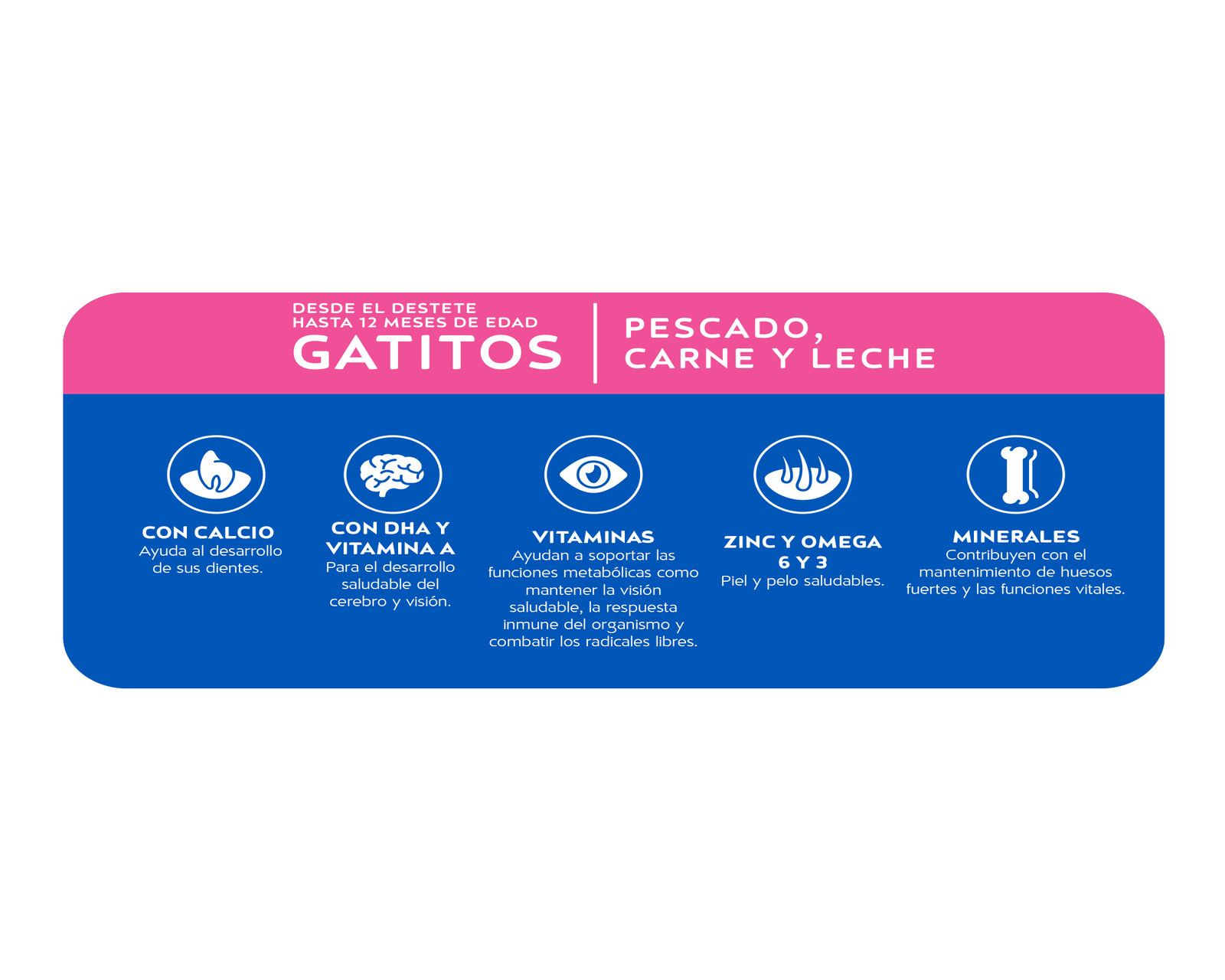 Foto 4 pulgar | Foto 3 | Alimento para Gato Purina Cat Chow Gatitos 1.5 kg