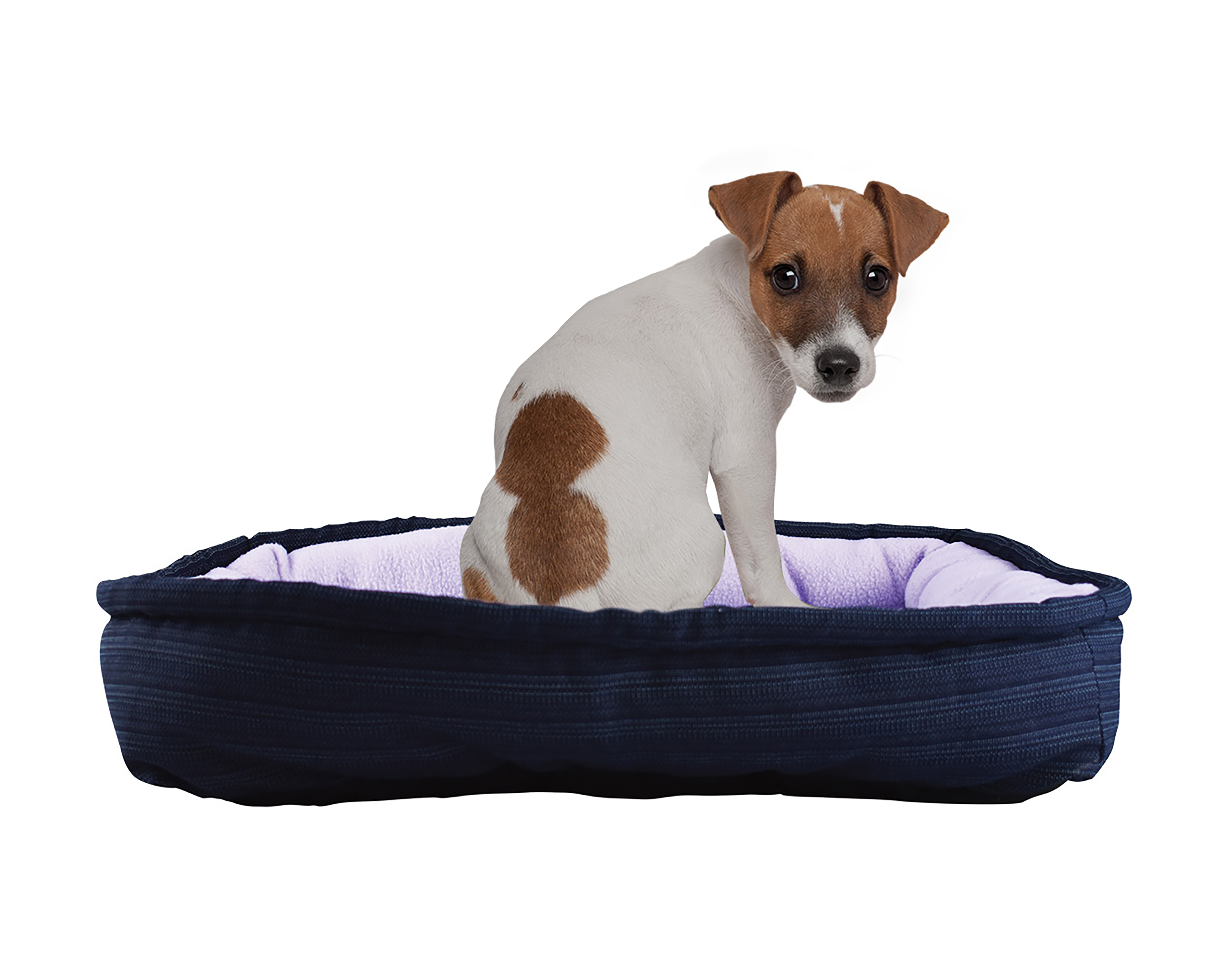 Foto 4 pulgar | Foto 3 | Cama para Mascotas Fancy Pets 60 x 40 cm