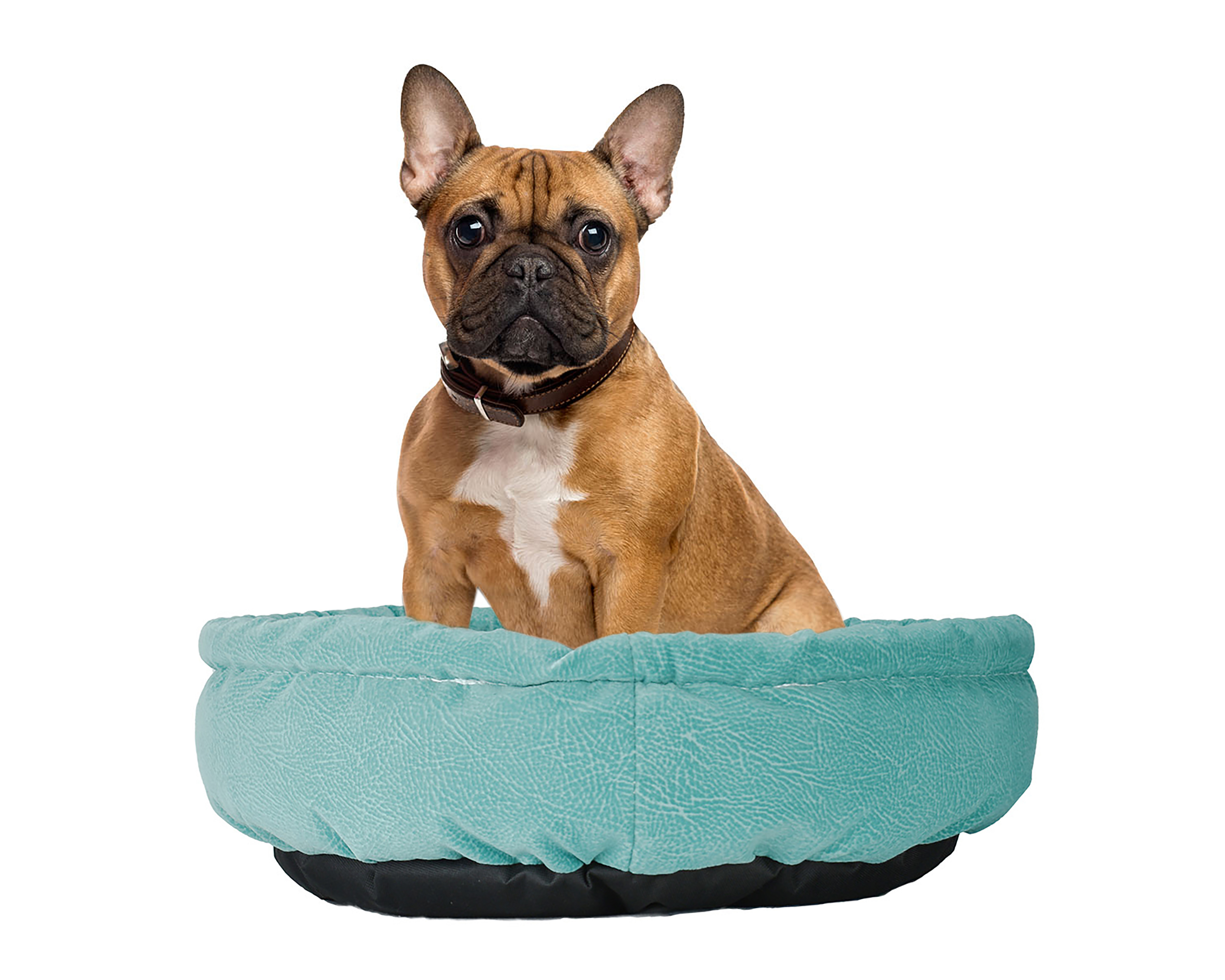 Foto 4 pulgar | Foto 3 | Cama para Mascotas Fancy Pets 42 x 42 cm