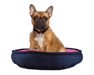 Foto 3 | Foto 3 | Cama para Mascotas Fancy Pets 58 x 16 cm
