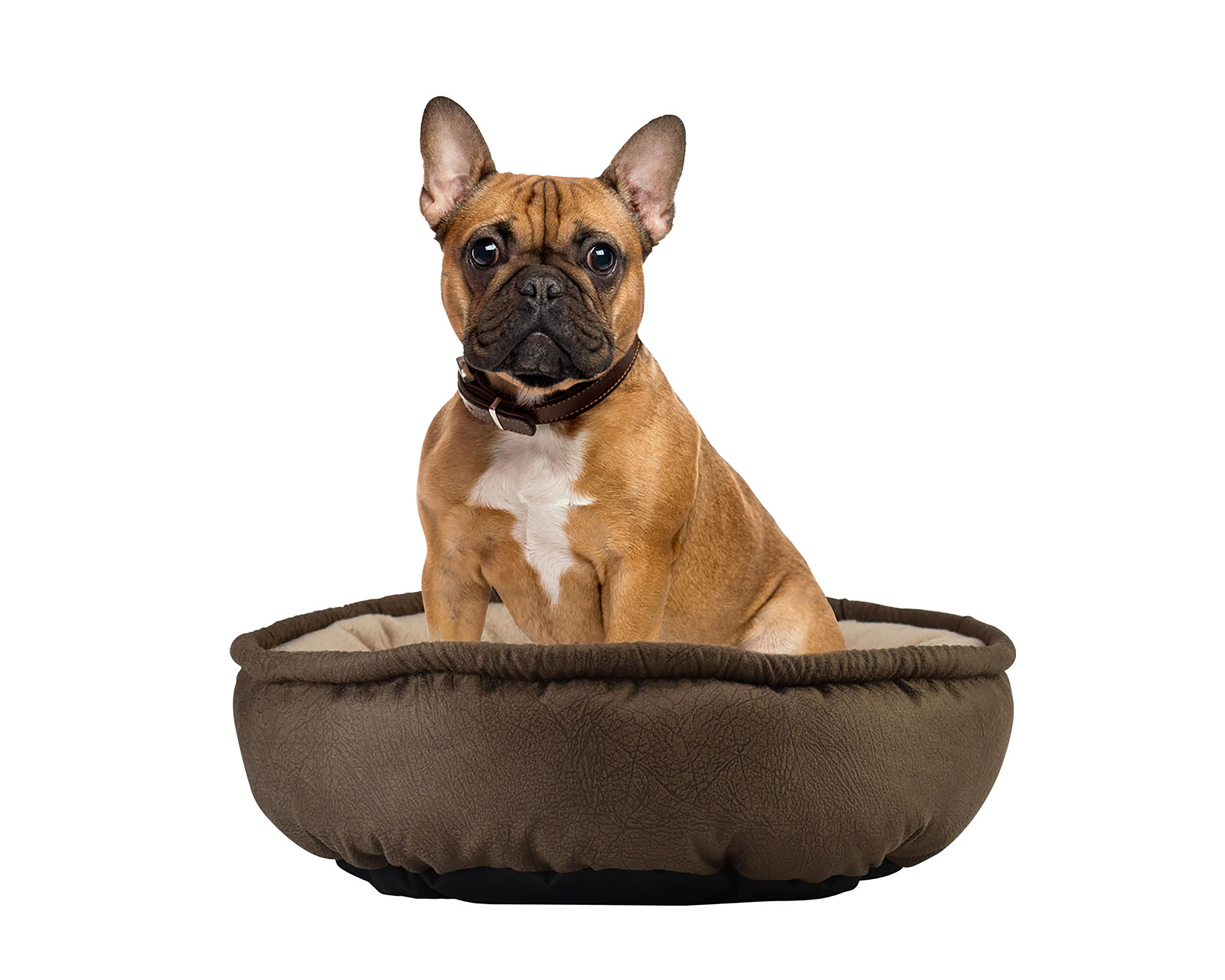 Foto 4 pulgar | Foto 3 | Cama para Mascotas Fancy Pets 68 x 16 cm