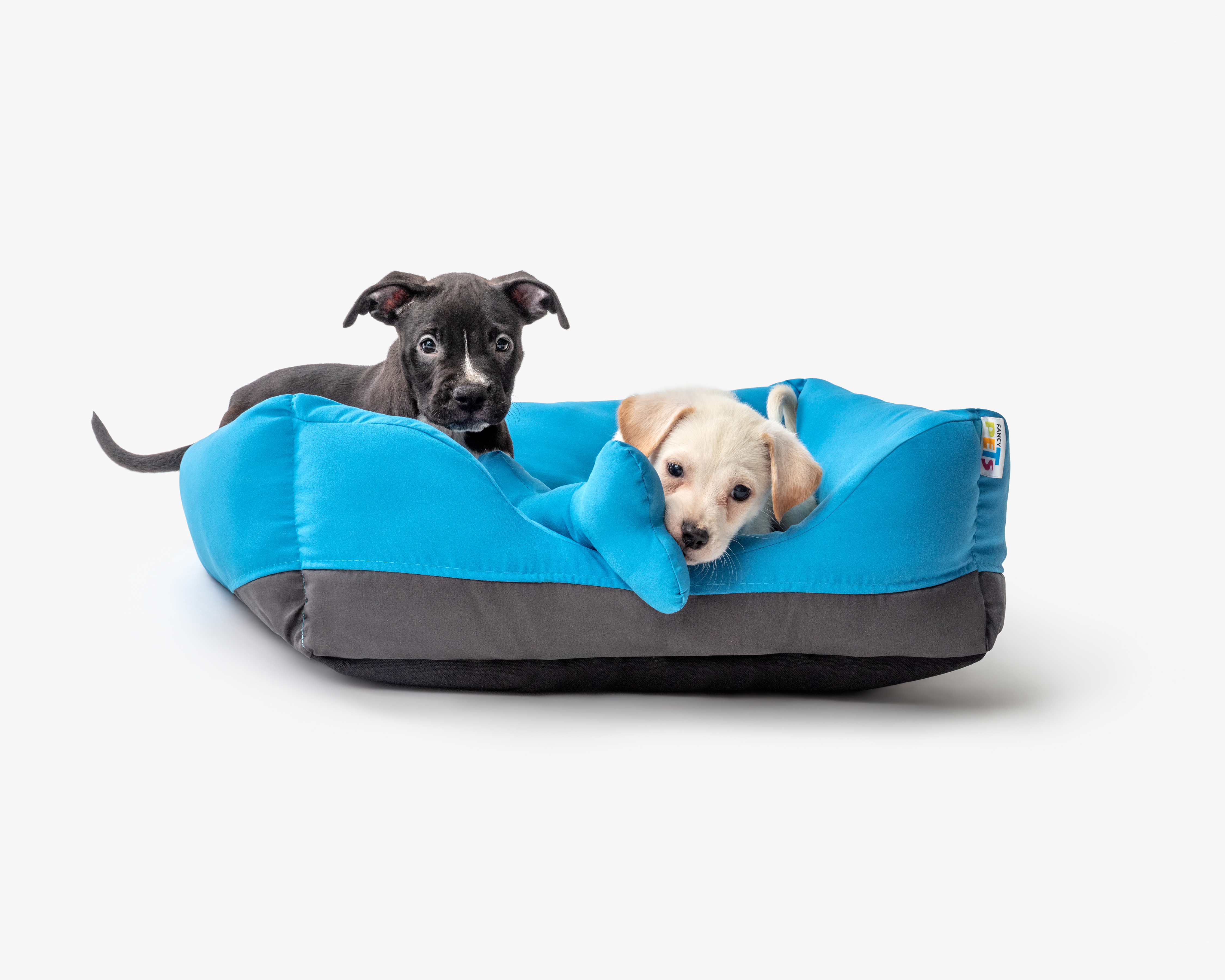 Foto 6 pulgar | Foto 5 | Cama para Mascotas Fancy Pets 53 x 44 x 24 cm