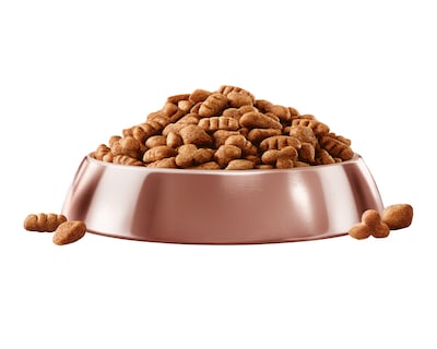 Foto 7 | Foto 7 | Alimento para Perro Purina Campeón Cachorro 2 kg