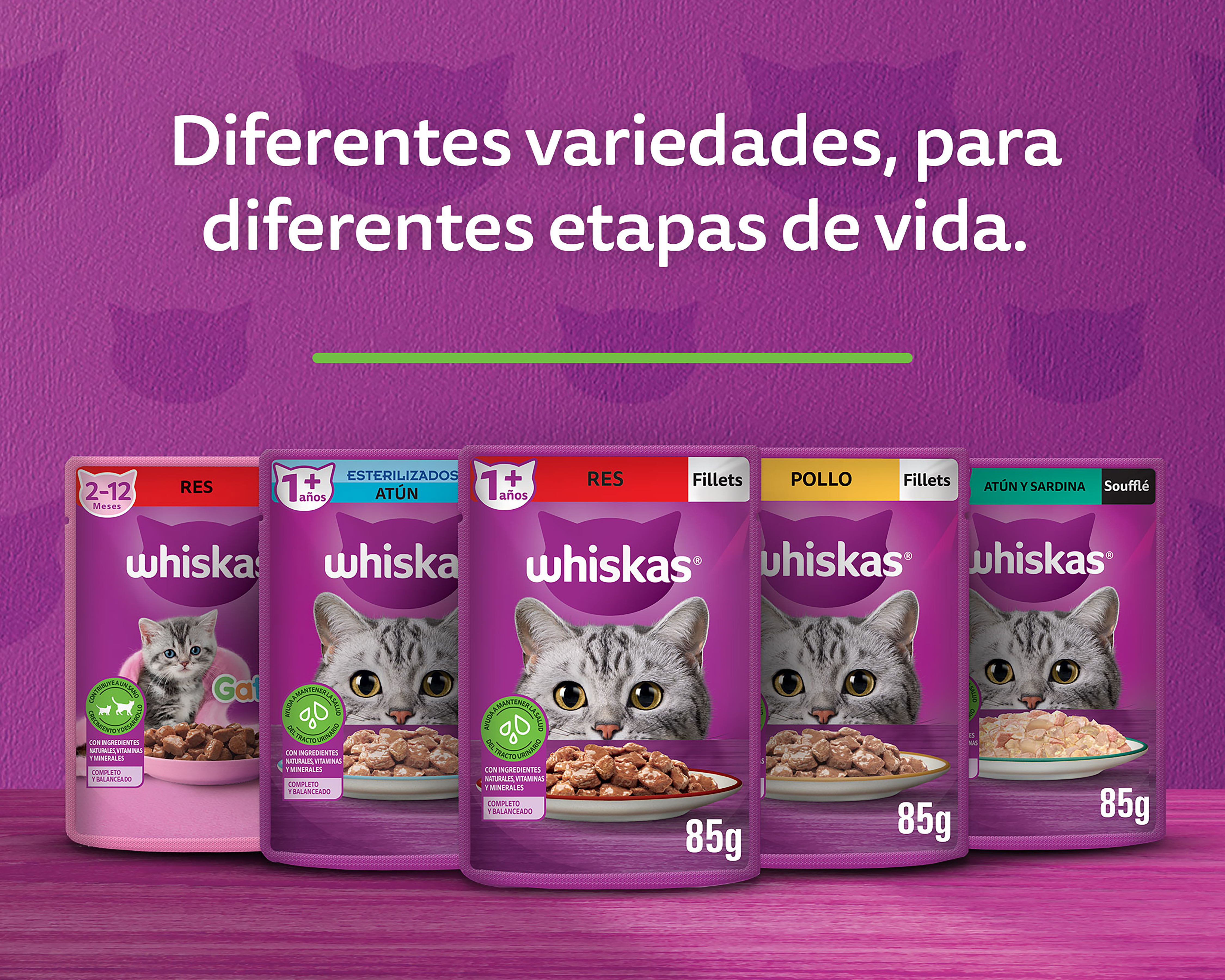 Foto 4 | Foto 4 | Alimento para Gato Whiskas Adulto 85 g