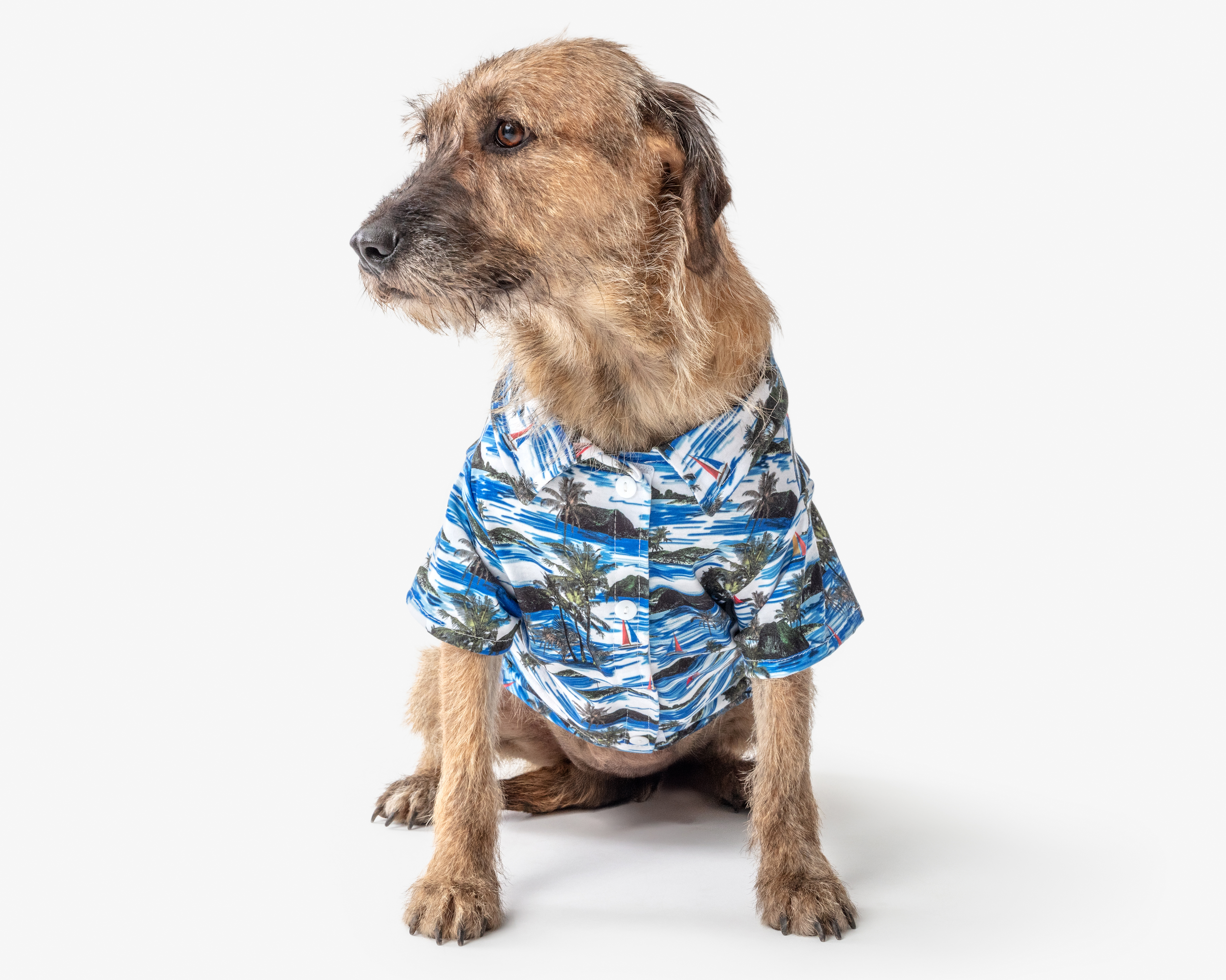 Camisa para Perro Huppy