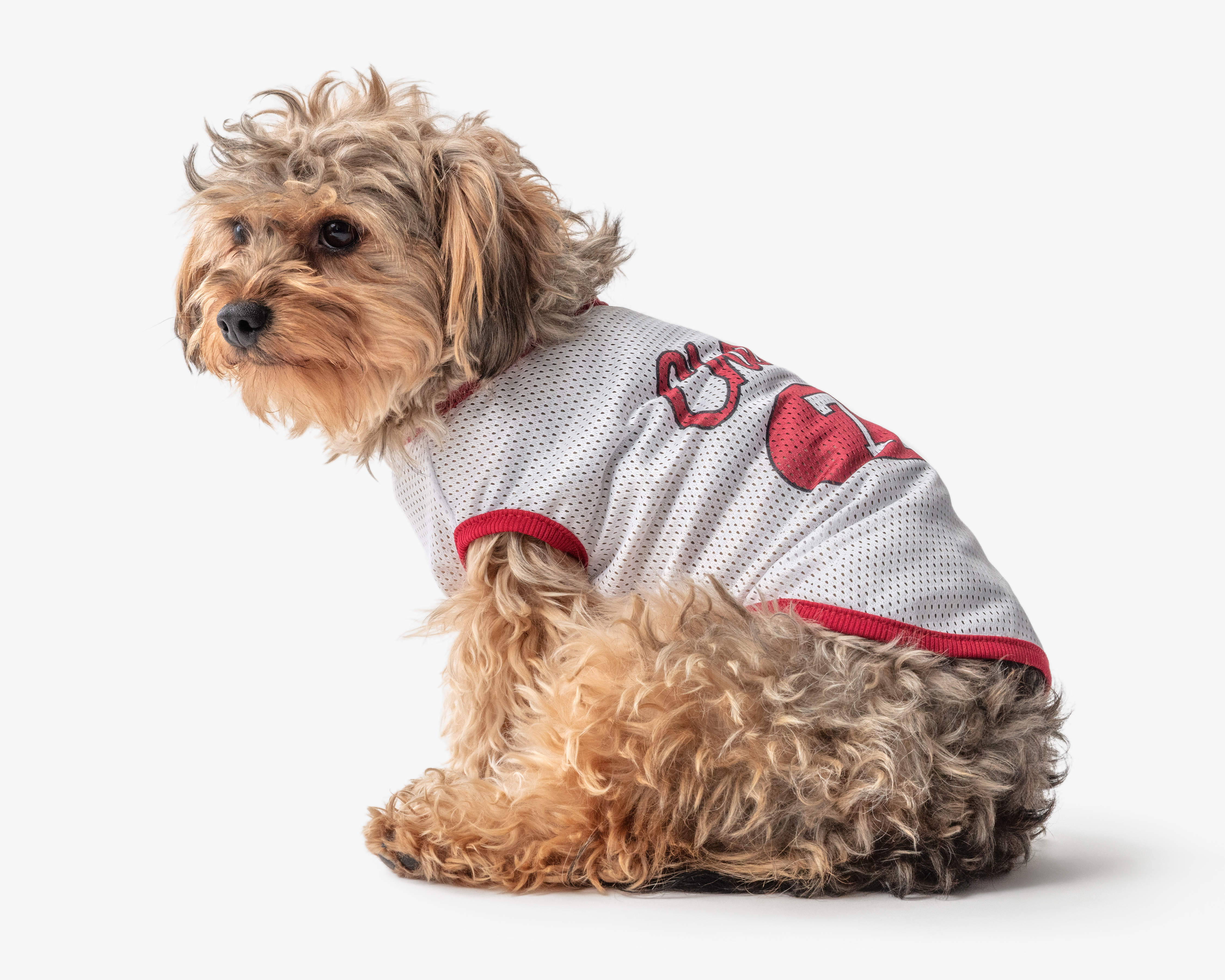 Playera para Perro Huppy