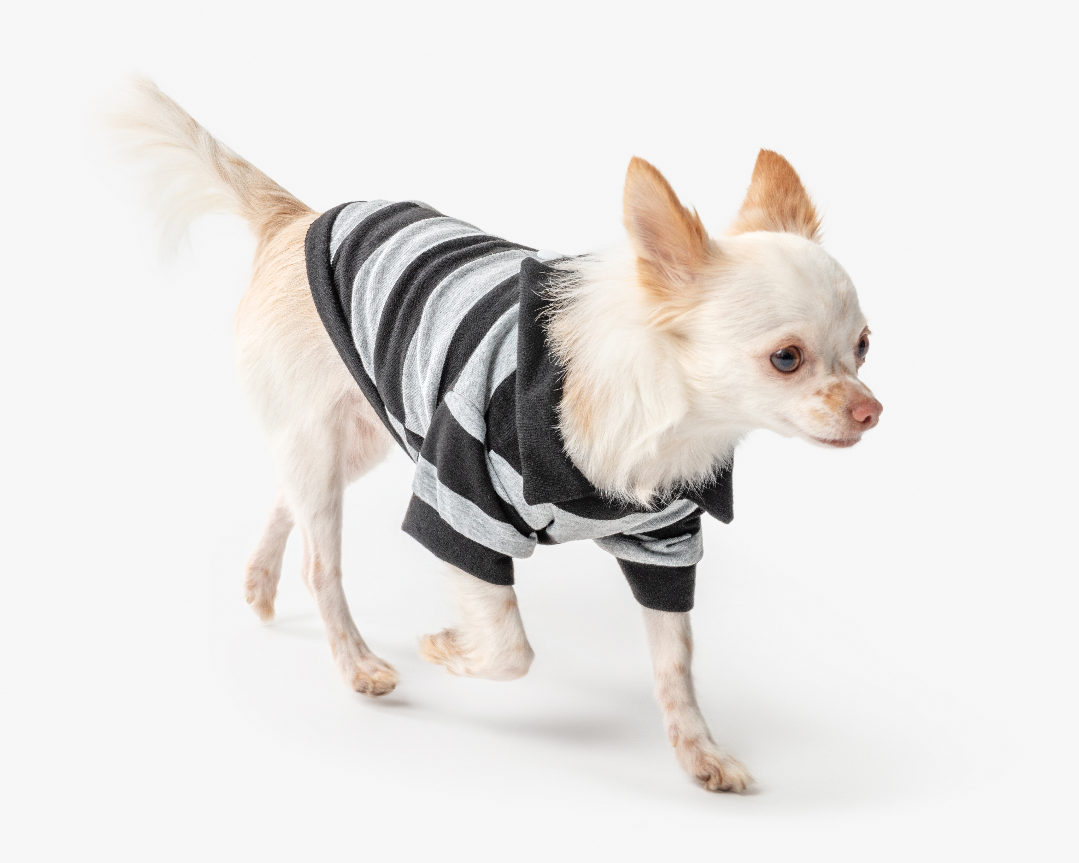 Foto 1 | Foto 1 | Playera para Perro Huppy