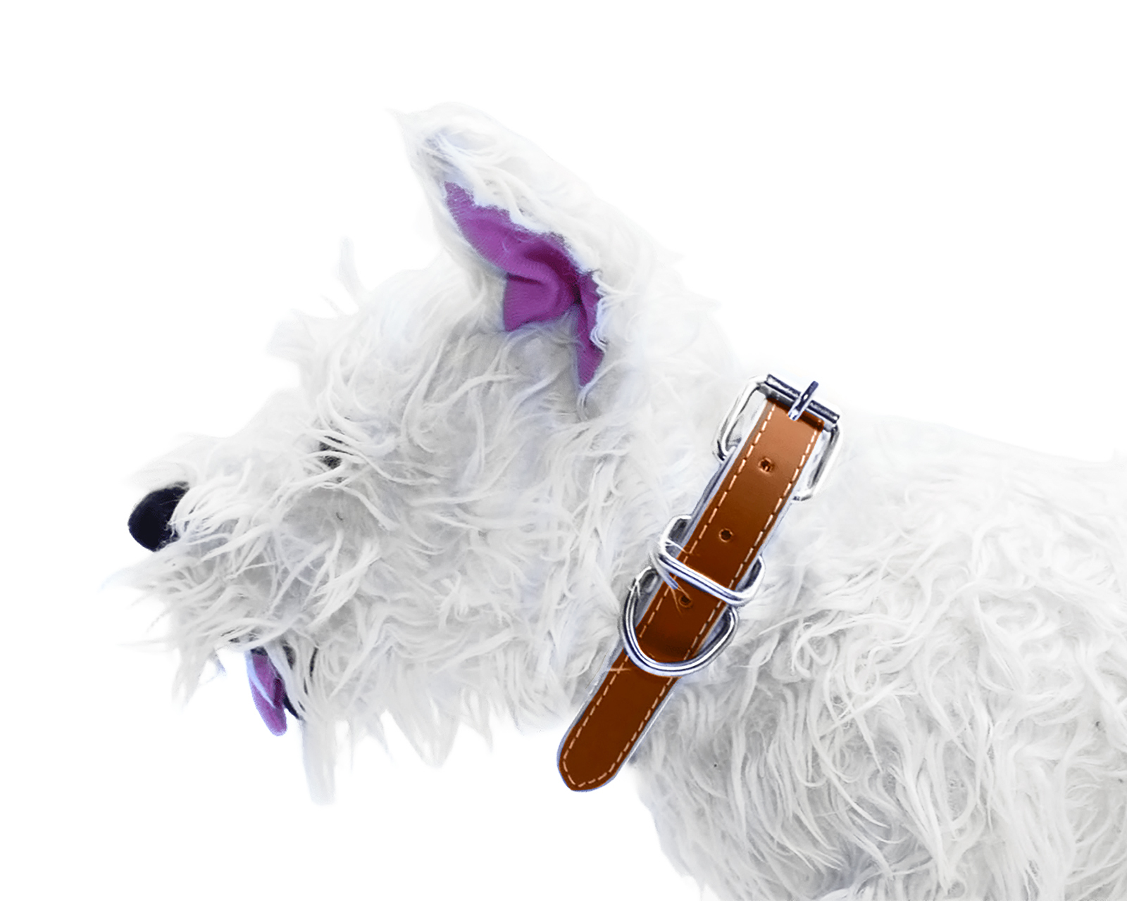 Foto 3 pulgar | Foto 2 | Collar para Perro Zatópet