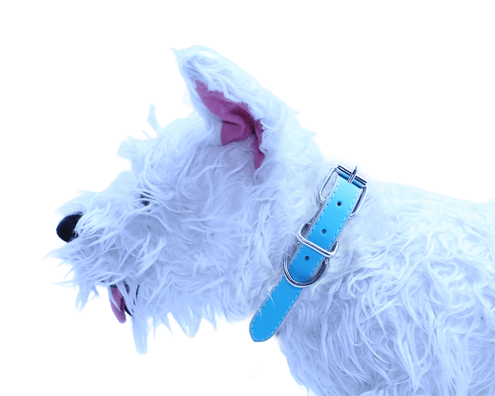 Foto 3 pulgar | Foto 2 | Collar para Perro Zatópet