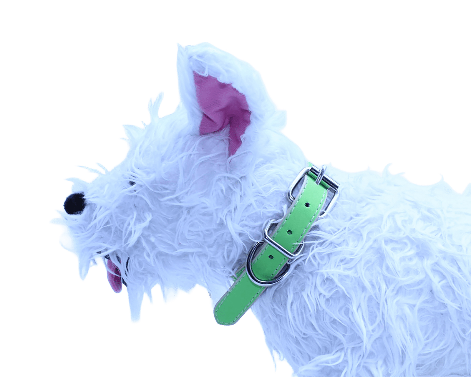 Foto 3 pulgar | Foto 2 | Collar para Perro Zatópet