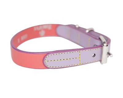 Foto 2 | Foto 2 | Collar para Perro Zatópet