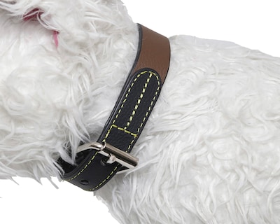 Foto 3 | Foto 3 | Collar para Perro Zatópet
