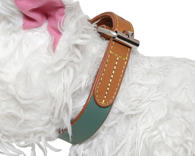 Foto 3 | Foto 3 | Collar para Perro Zatópet