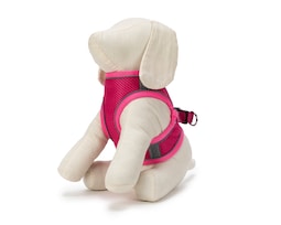 Pechera y Lentes para Perro Huppy