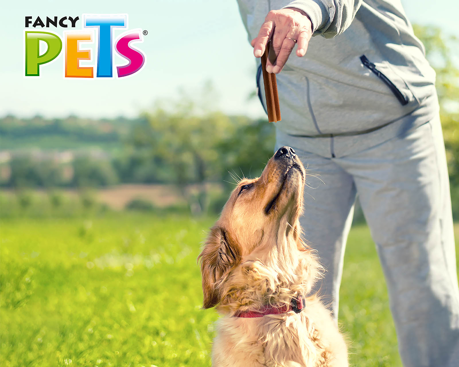 Foto 5 pulgar | Foto 4 | Snack Yummy Sticks para Perro Fancy Pets 60 g