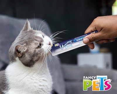 Foto 4 | Foto 4 | Premio para Gato Fancy Pets Adulto 4 Piezas