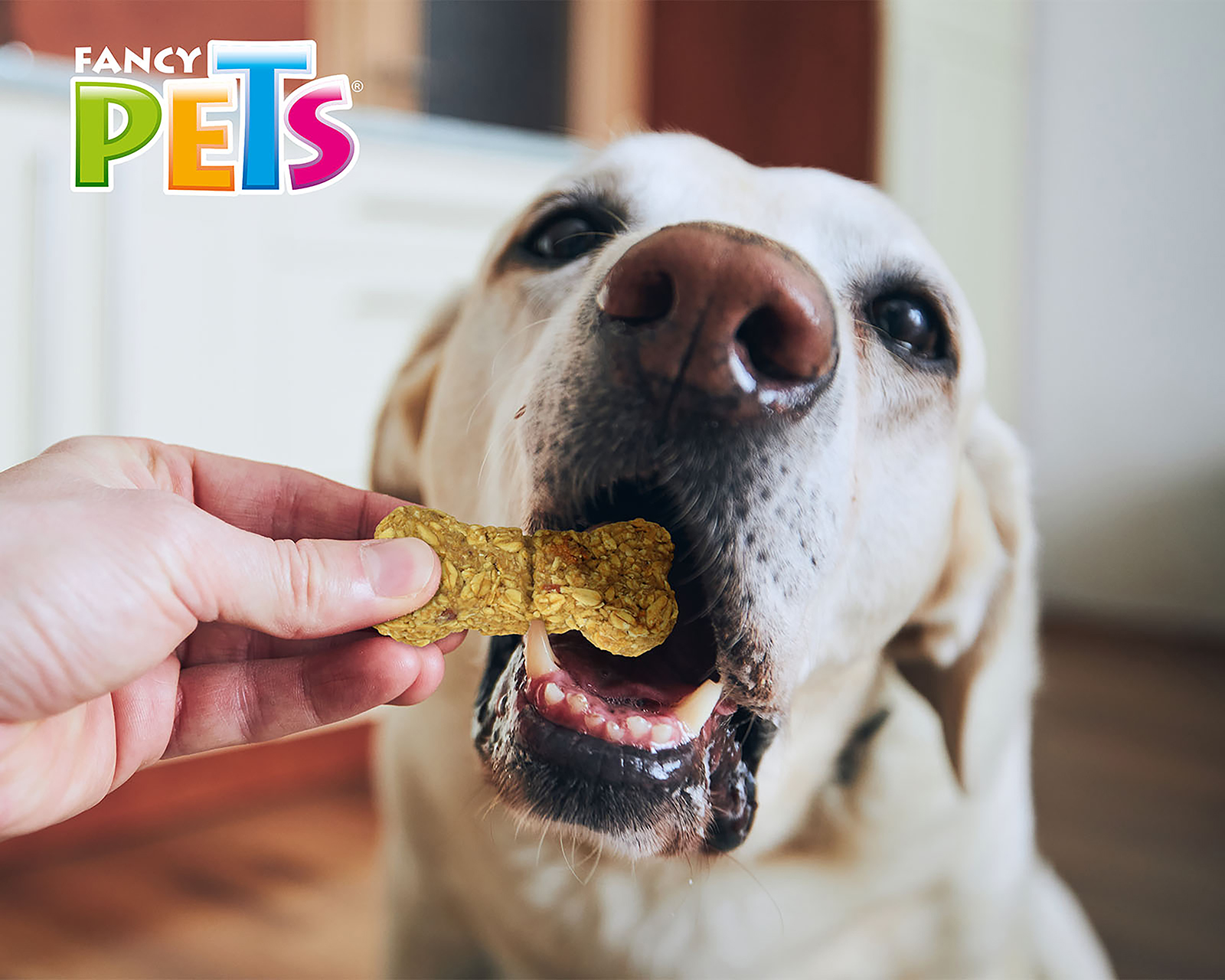 Foto 5 pulgar | Foto 4 | Snack Nutri Bark para Perro Fancy Pets 130 g