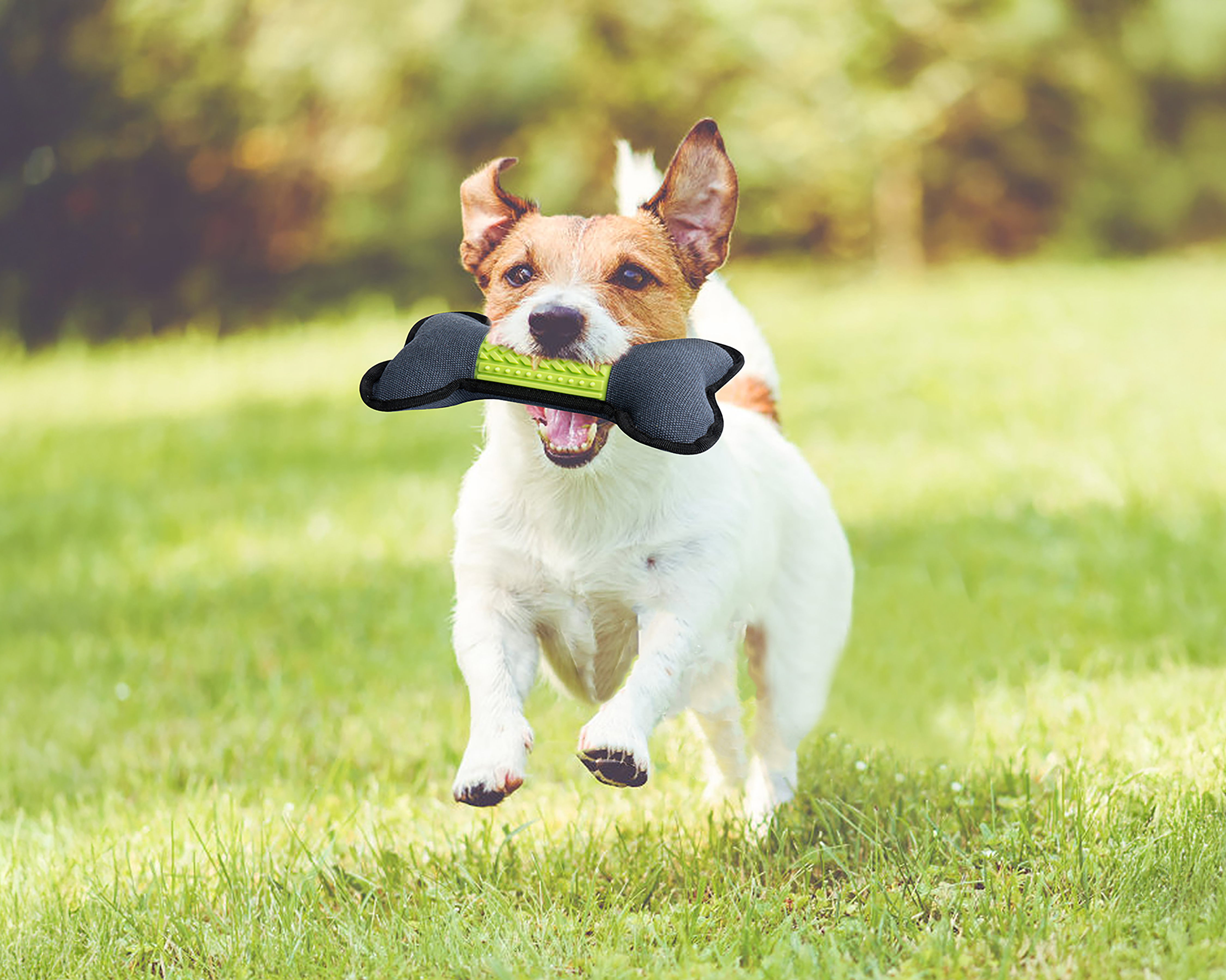 Foto 4 | Foto 4 | Juguete para Perro Pet Religion Hueso