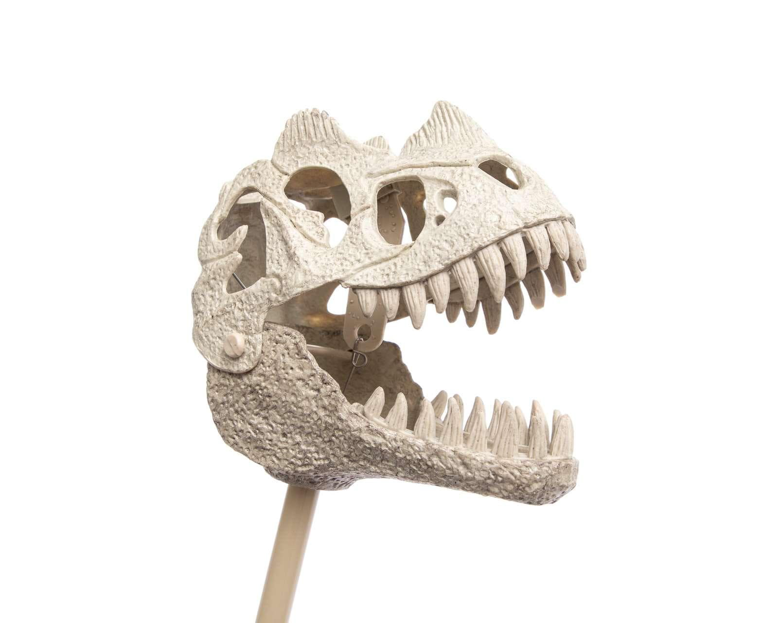 Foto 4 pulgar | Foto 3 | Dinosaurio Minigami