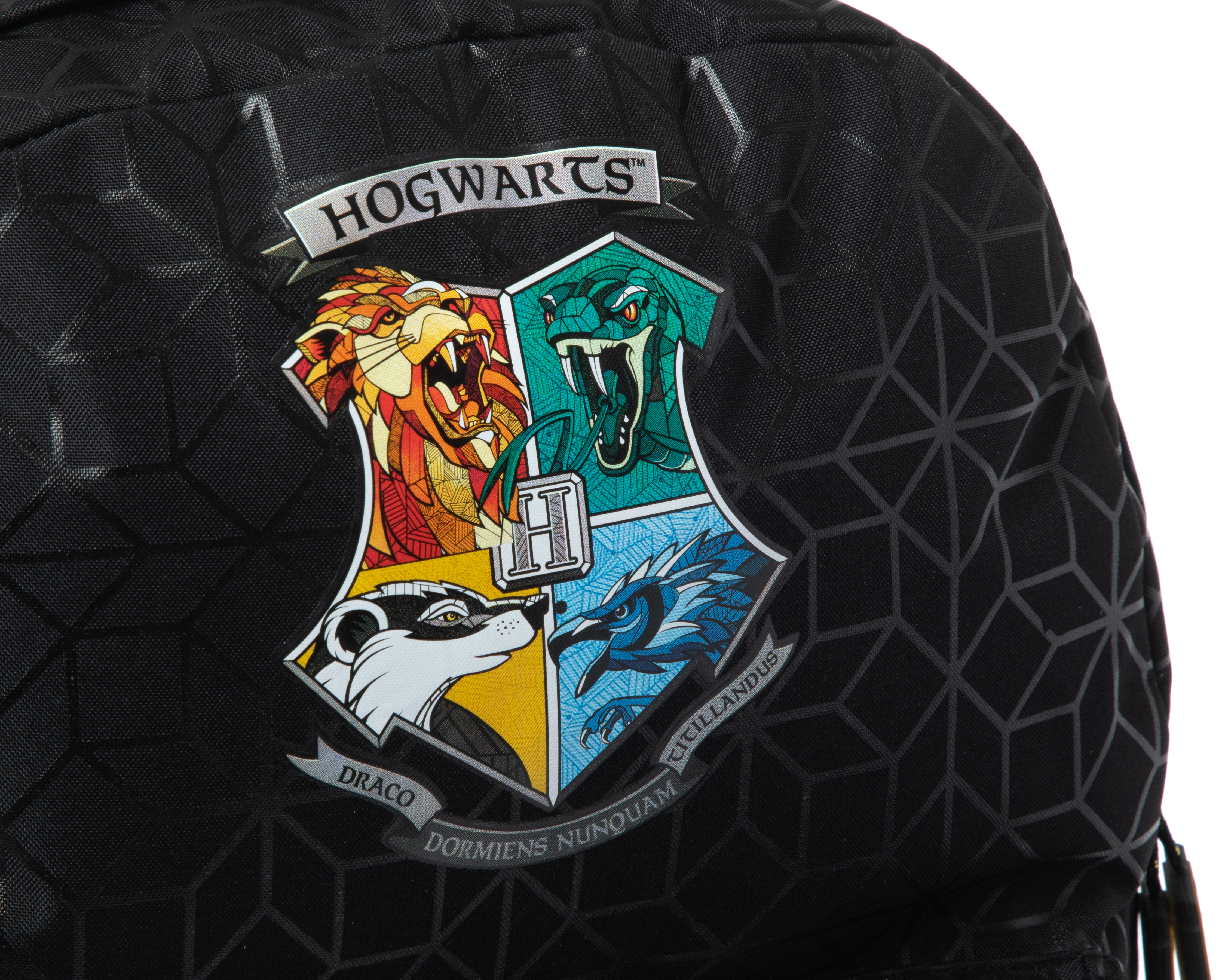 Foto 6 pulgar | Foto 5 | Mochila Escolar Harry Potter con Lapicera