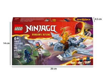 Foto 10 | Foto 10 | LEGO Ninjago: Joven Dragón Riyu