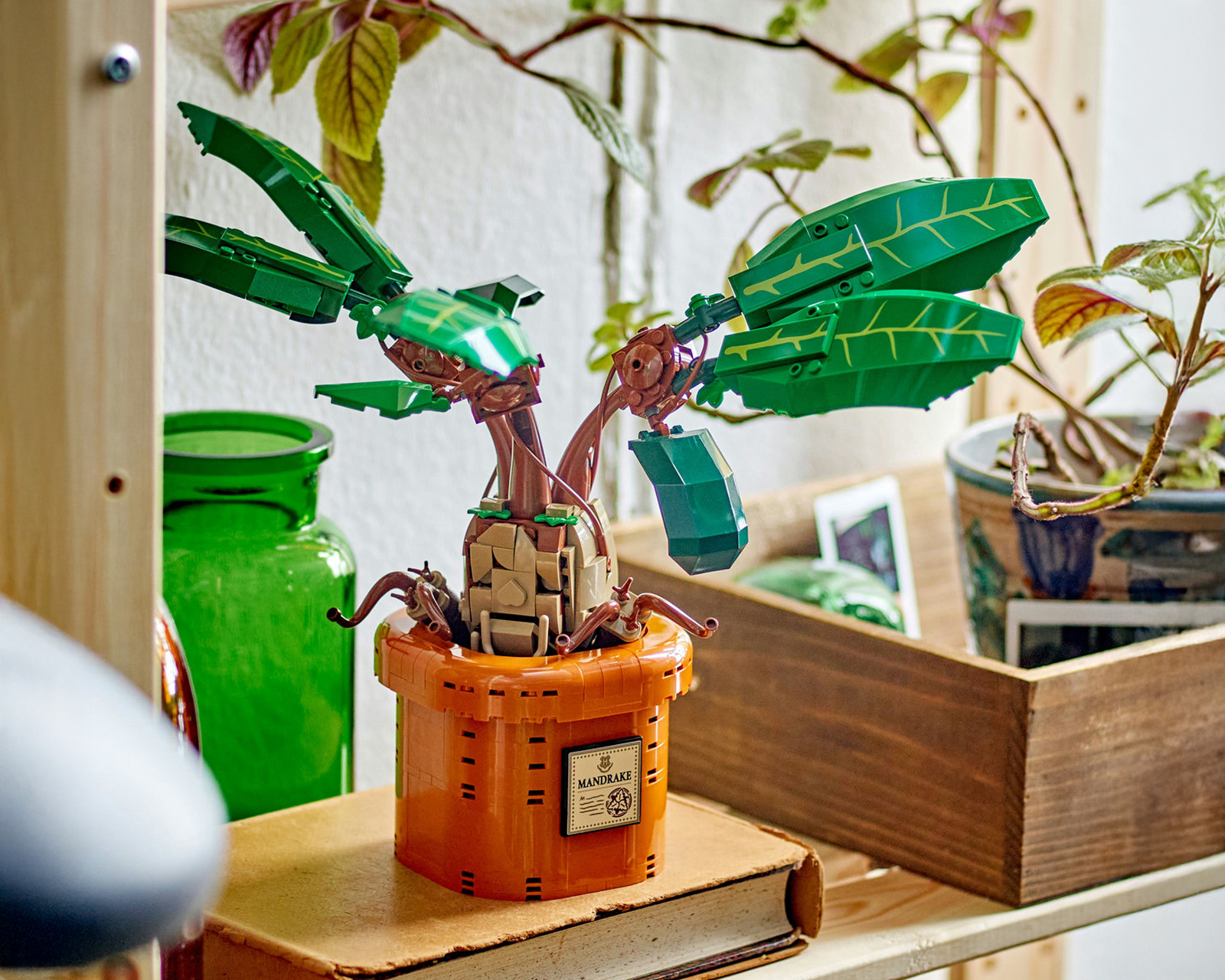 Foto 7 pulgar | Foto 6 | LEGO Harry Potter Mandrágora