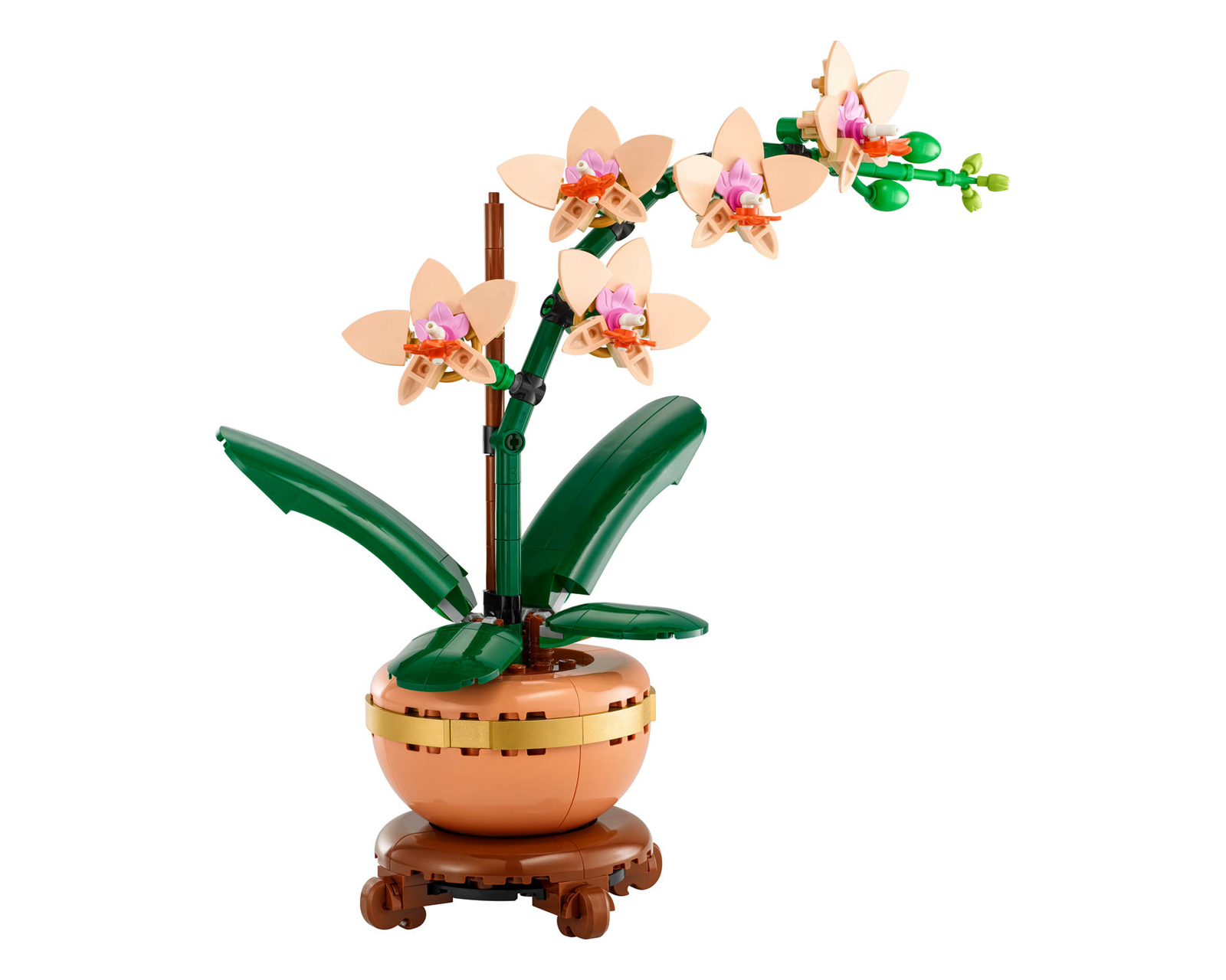 Foto 4 pulgar | Foto 3 | LEGO Botanicals: Miniorquídea