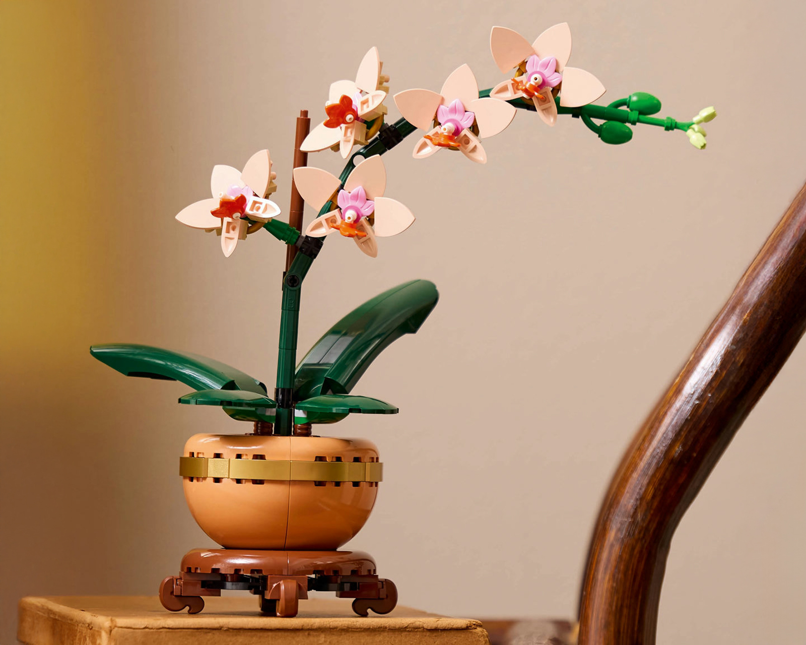 Foto 7 pulgar | Foto 6 | LEGO Botanicals: Miniorquídea