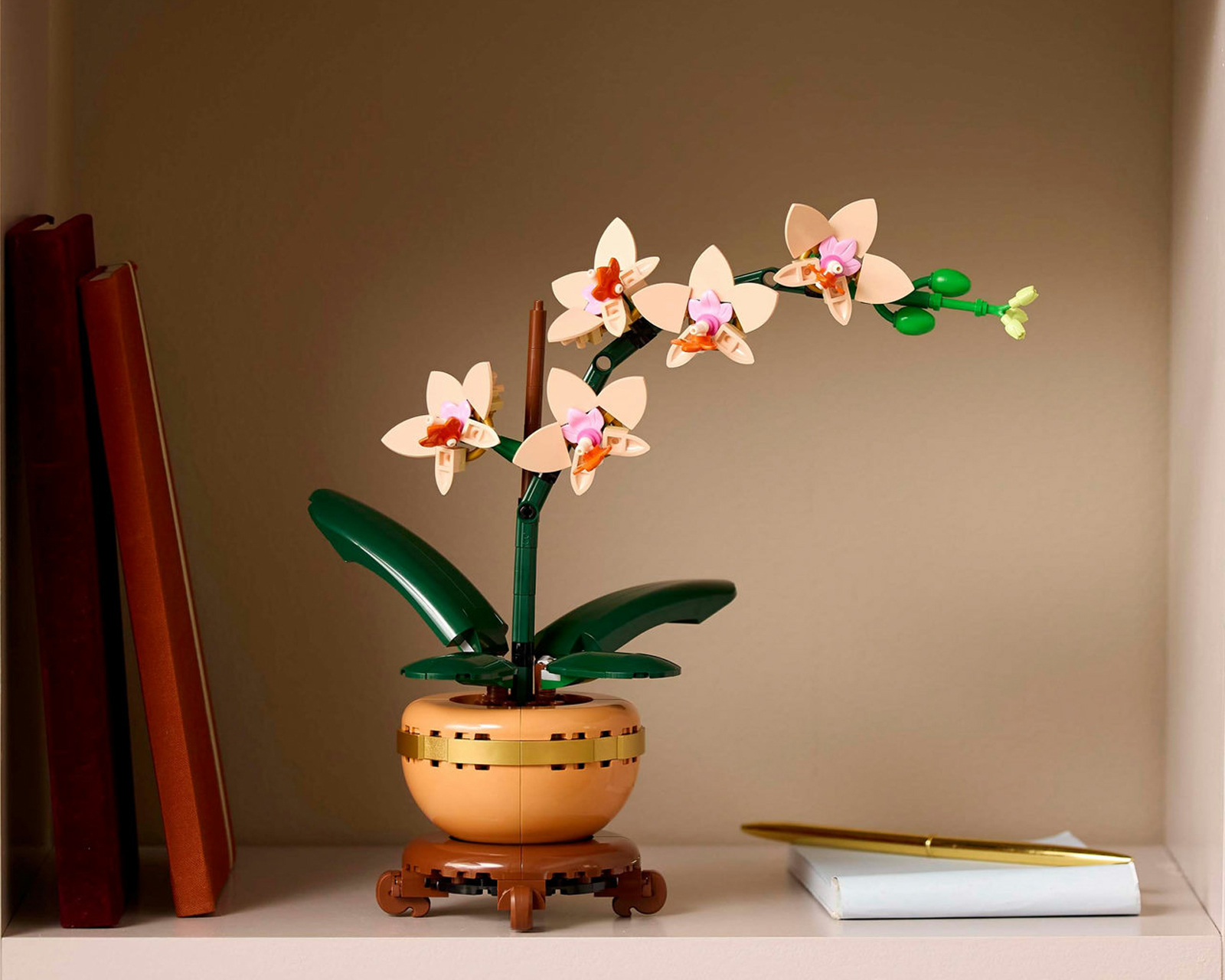 Foto 8 pulgar | Foto 7 | LEGO Botanicals: Miniorquídea