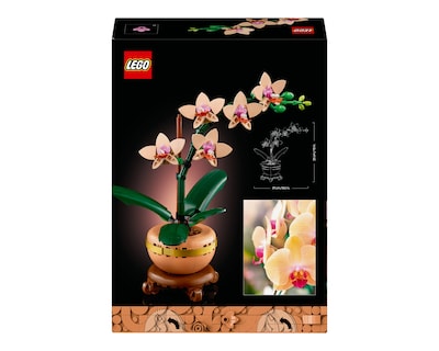 Foto 9 | Foto 9 | LEGO Botanicals: Miniorquídea