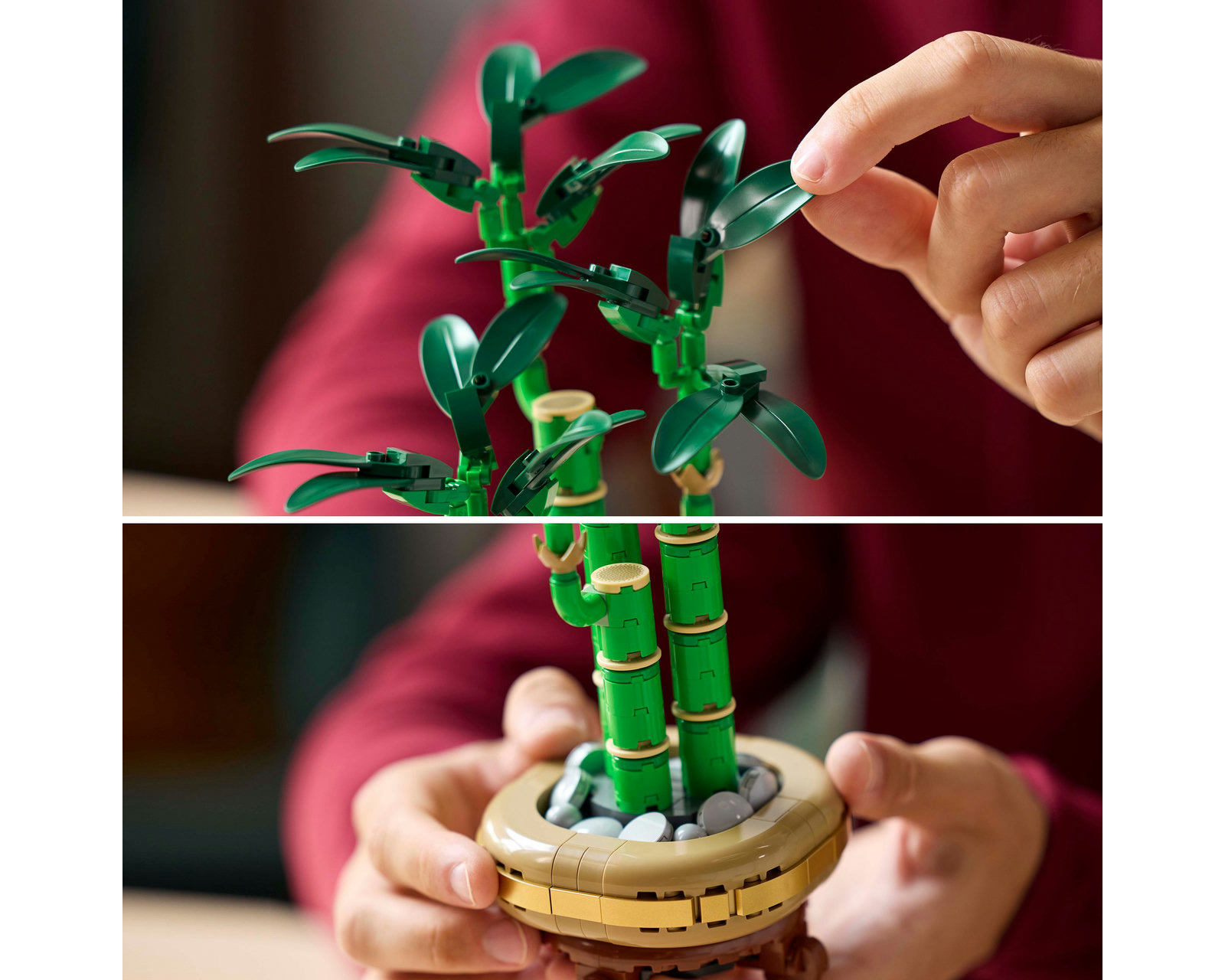 Foto 9 pulgar | Foto 8 | LEGO Botanicals: Bambú de la Suerte