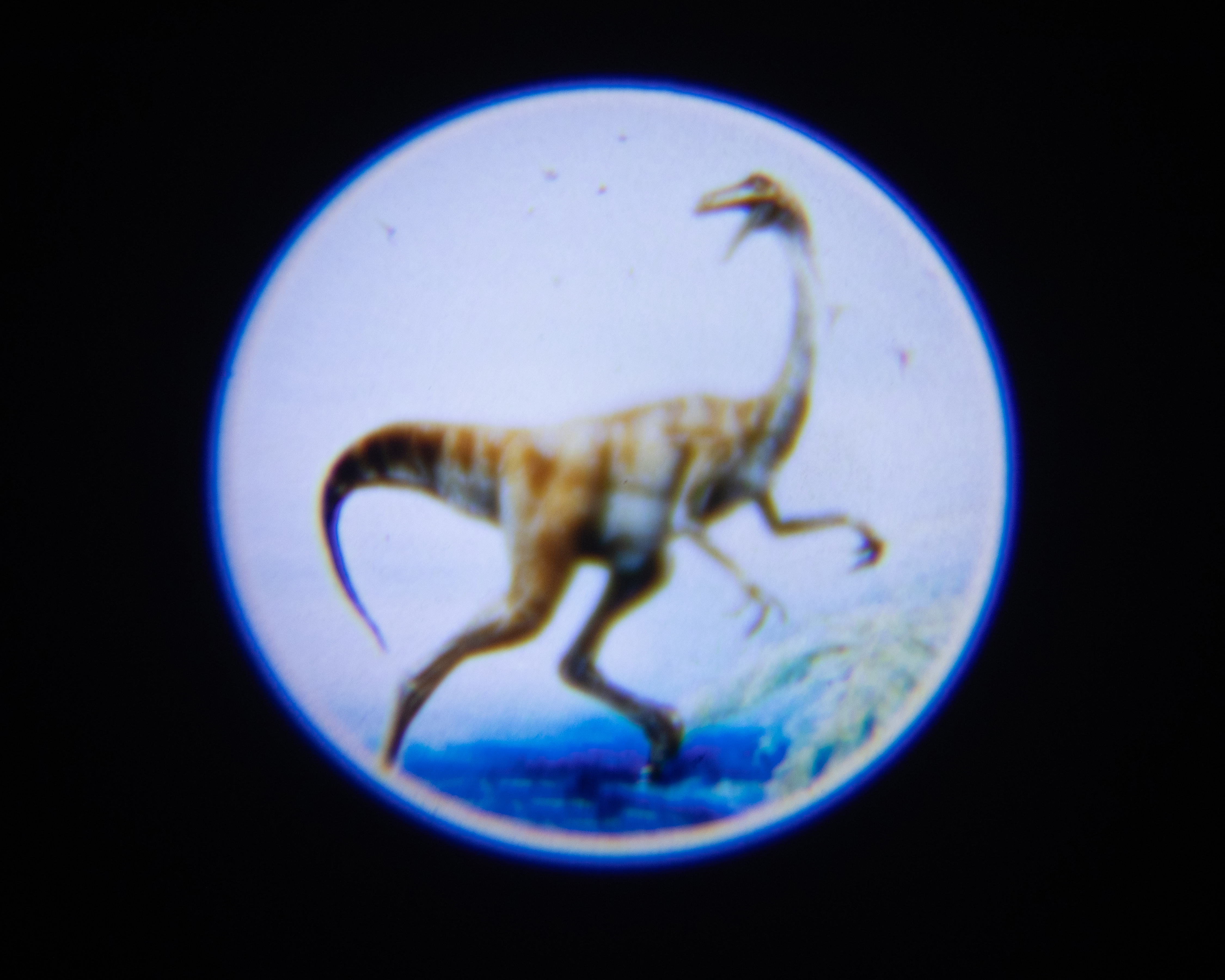 Foto 6 | Foto 6 | Reloj Proyector de Dinosaurio Minigami