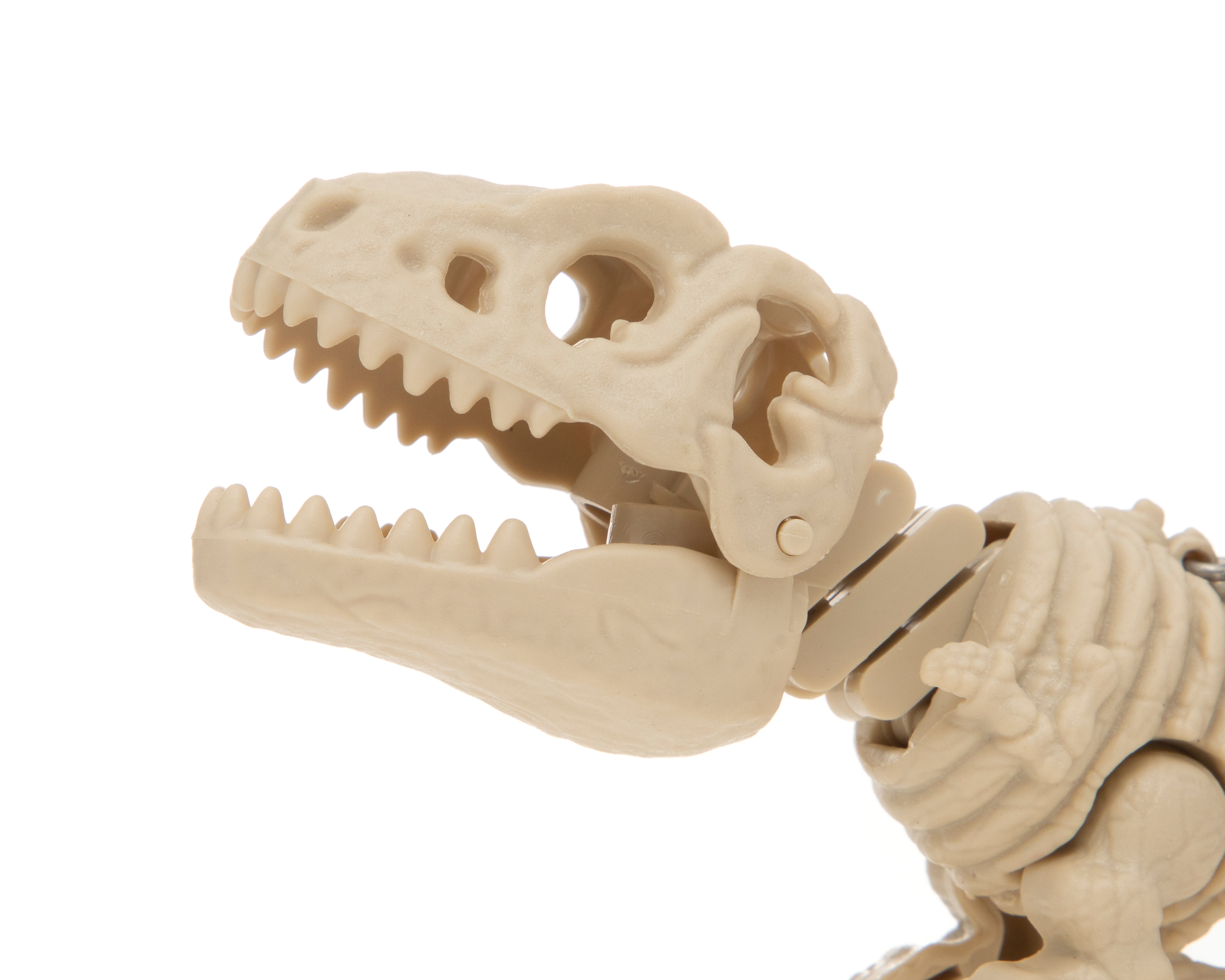 Foto 3 | Foto 3 | Llavero de Dinosaurio Minigami Estírate y Muerde