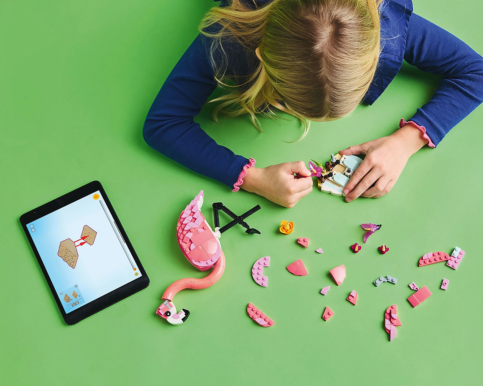 Foto 4 | Foto 4 | LEGO Fauna Salvaje: Flamenco Rosa