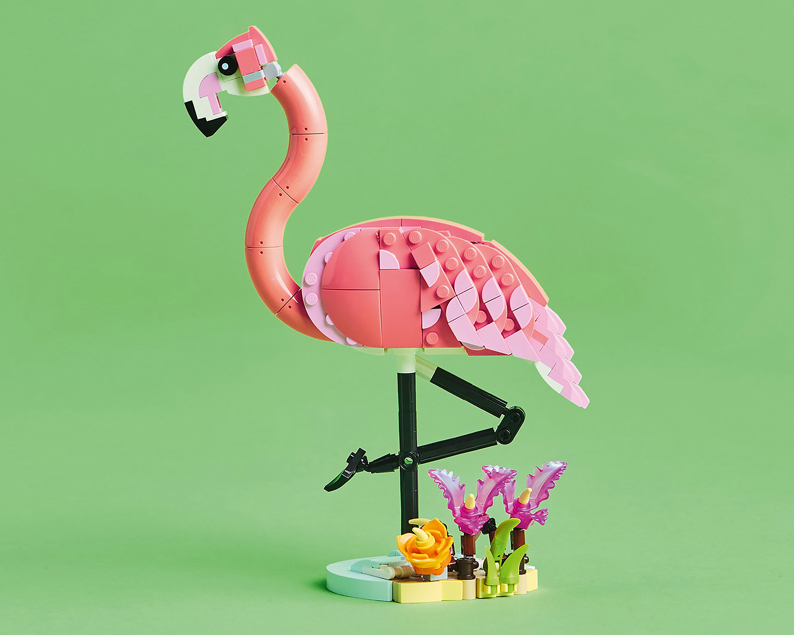 Foto 6 | Foto 6 | LEGO Fauna Salvaje: Flamenco Rosa