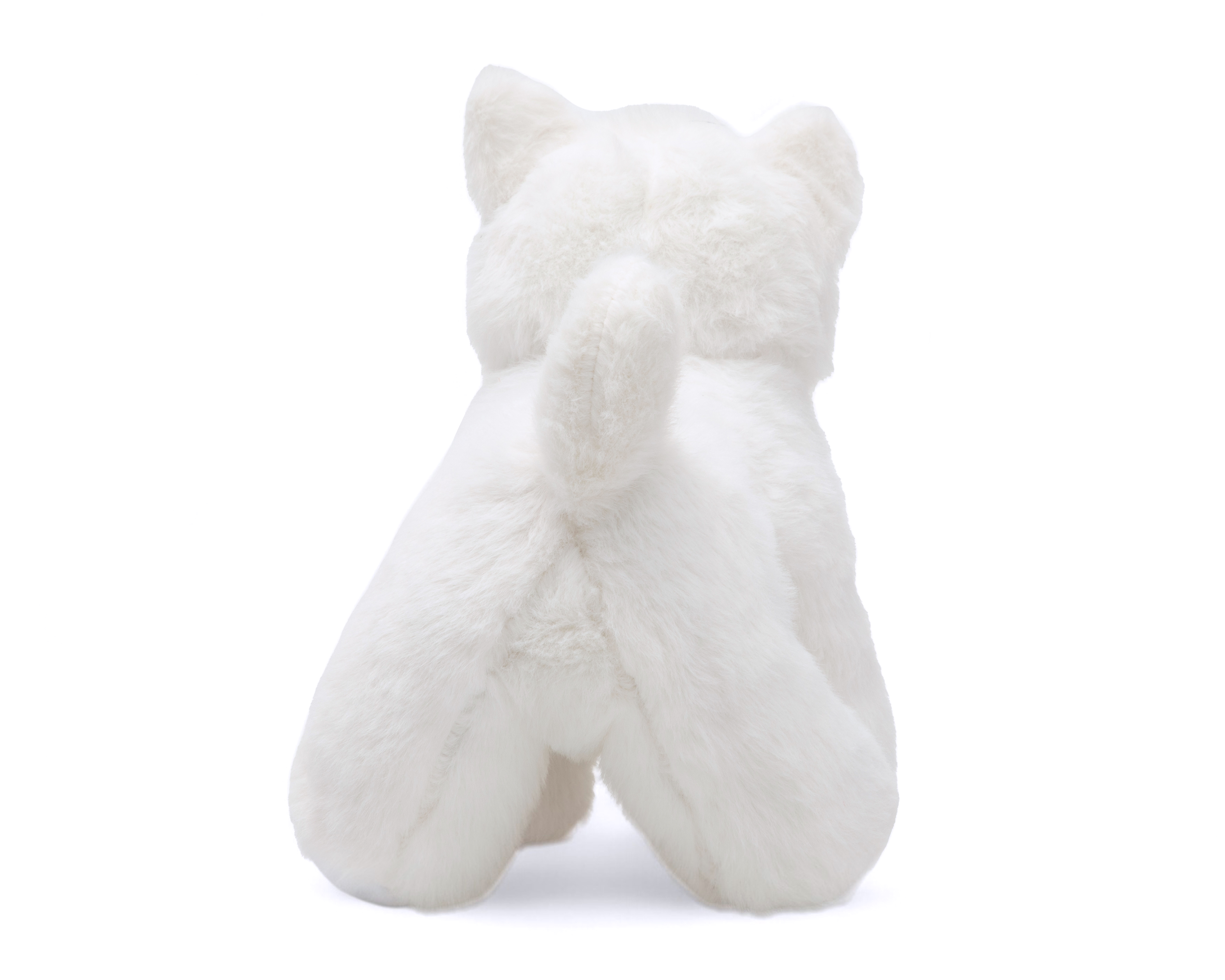 Foto 4 pulgar | Foto 3 | Peluche Lindo Gatito Belúla con Accesorios