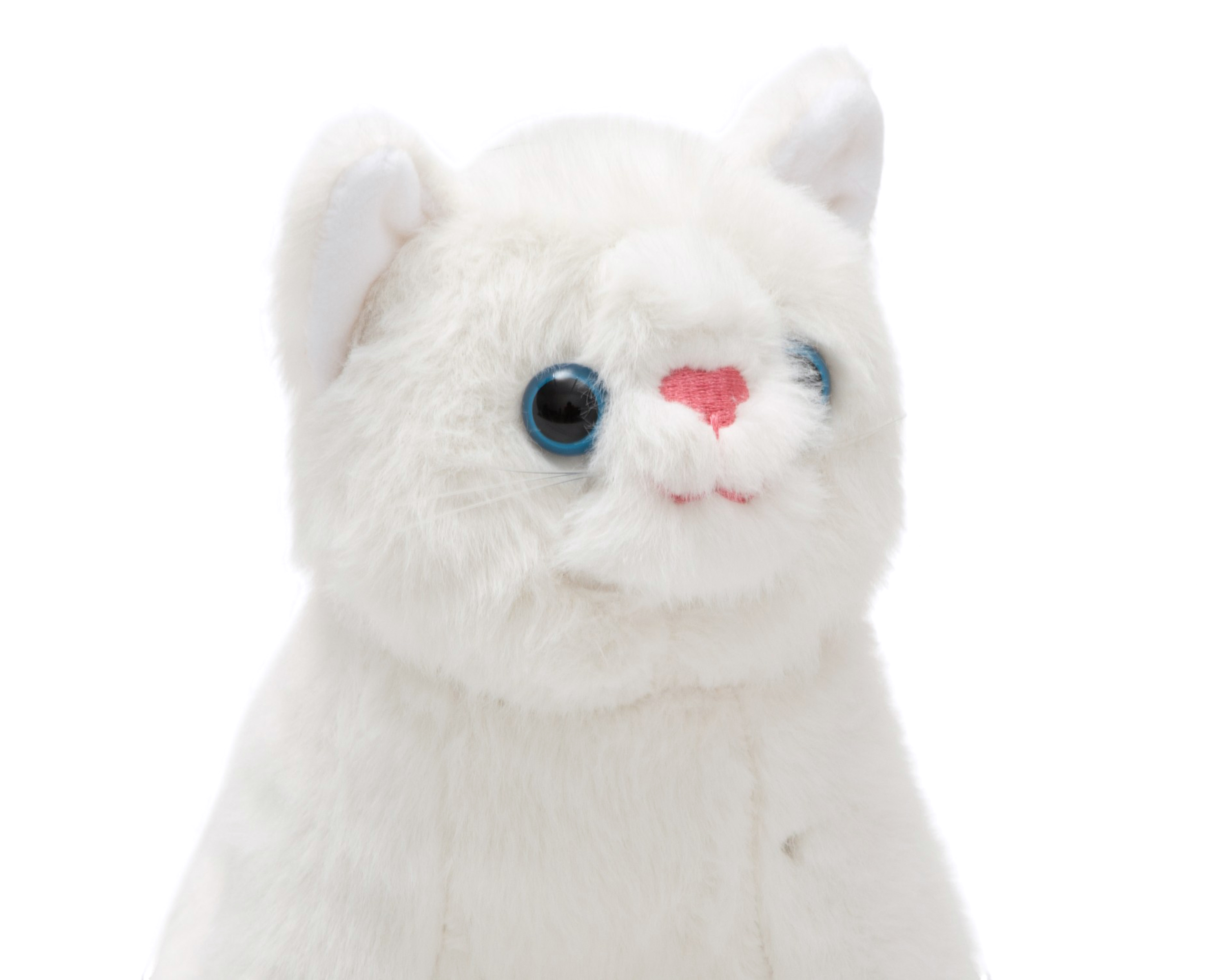 Foto 4 | Foto 4 | Peluche Lindo Gatito Belúla con Accesorios