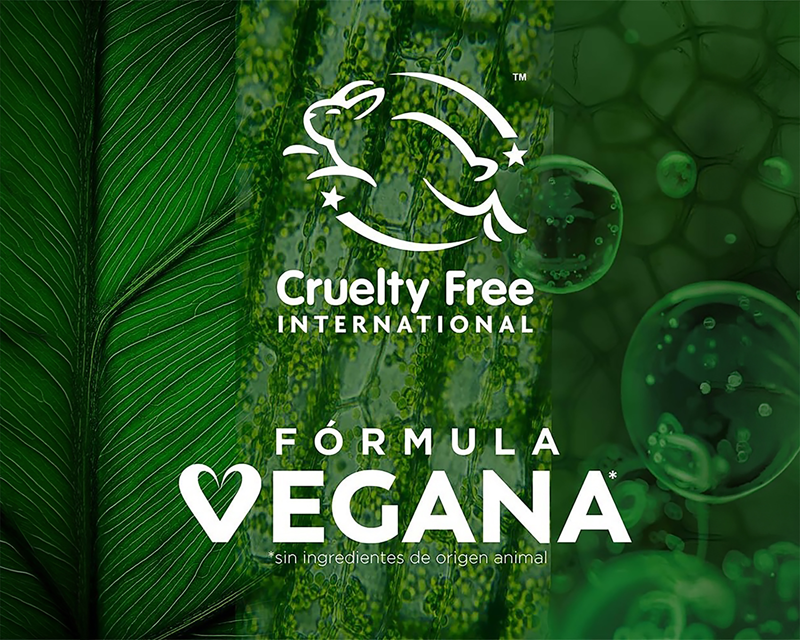 Foto 6 pulgar | Foto 5 | Protector Solar Antimanchas Garnier Super UV 40 g