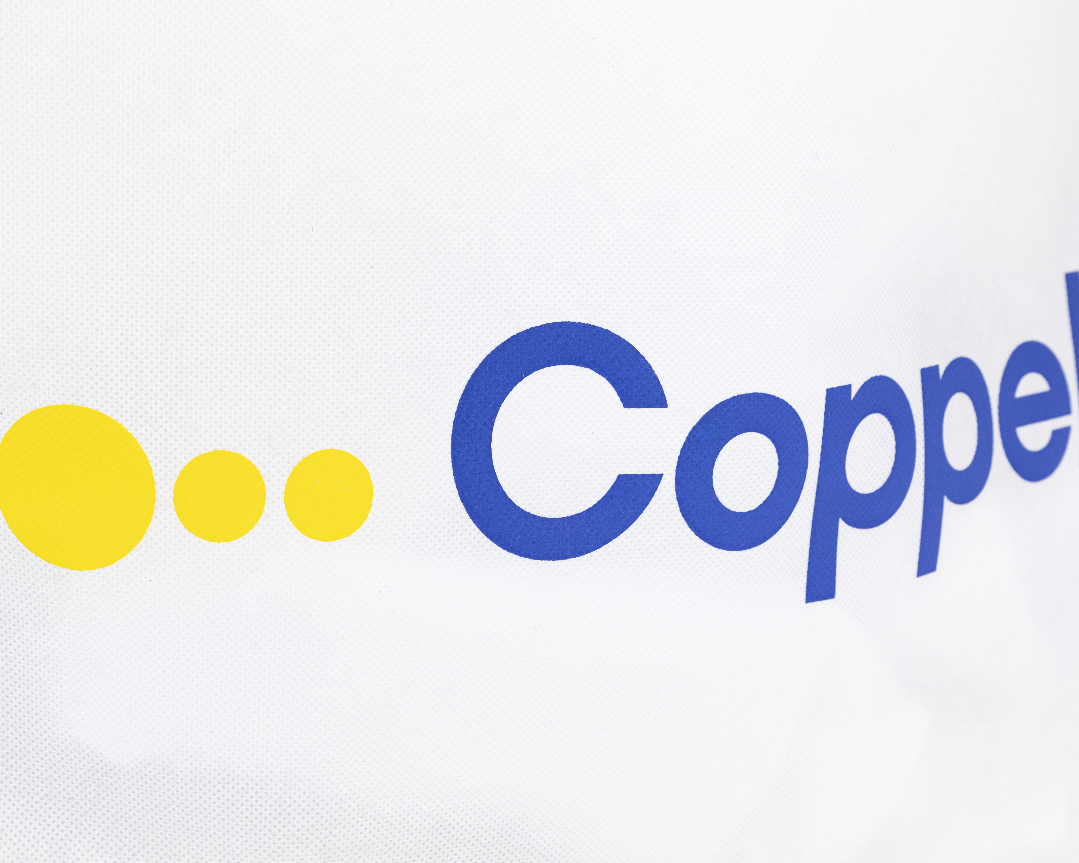 Foto 3 | Foto 3 | Bolsa Reutilizable Coppel